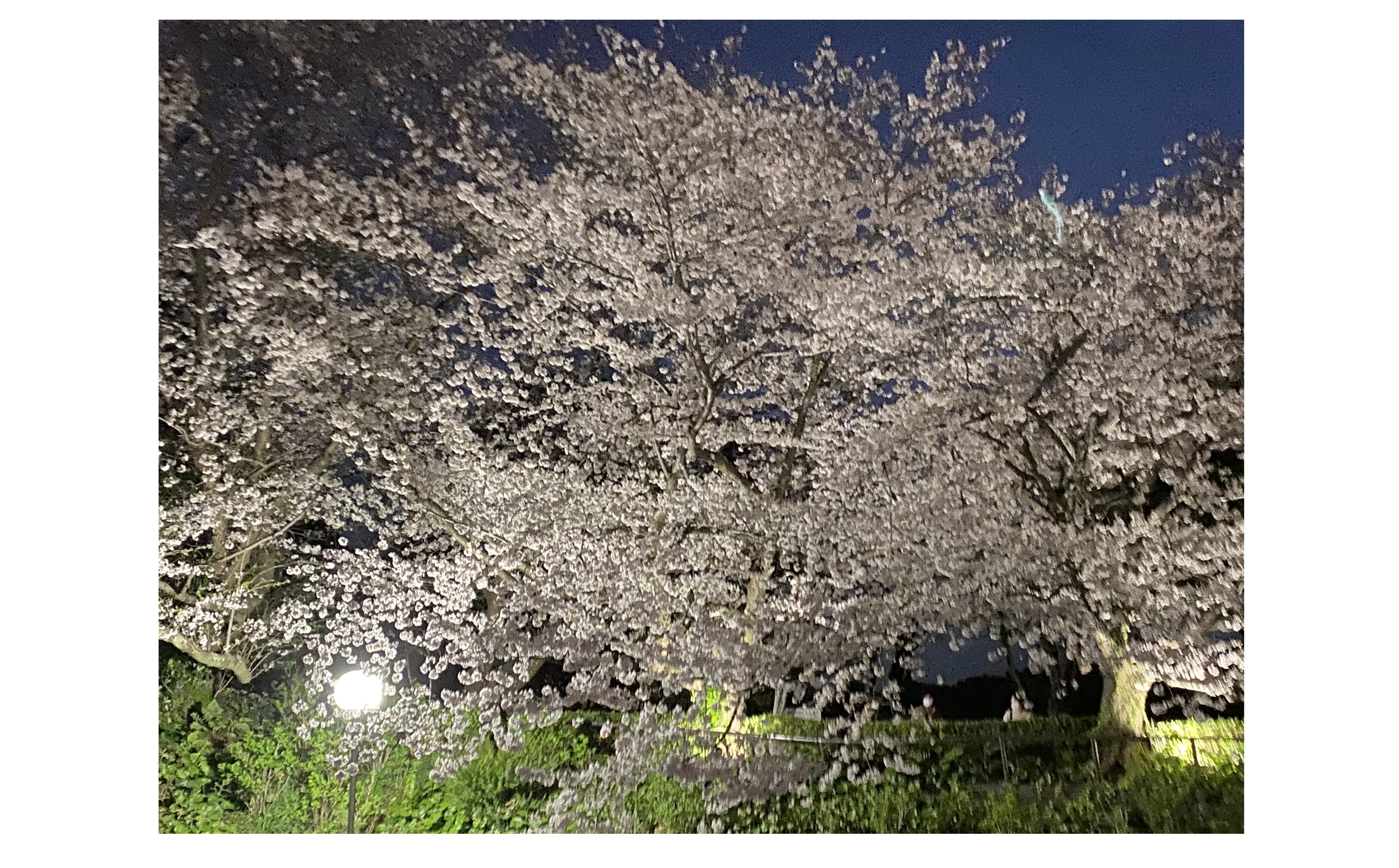 『先が見えてきたかな』