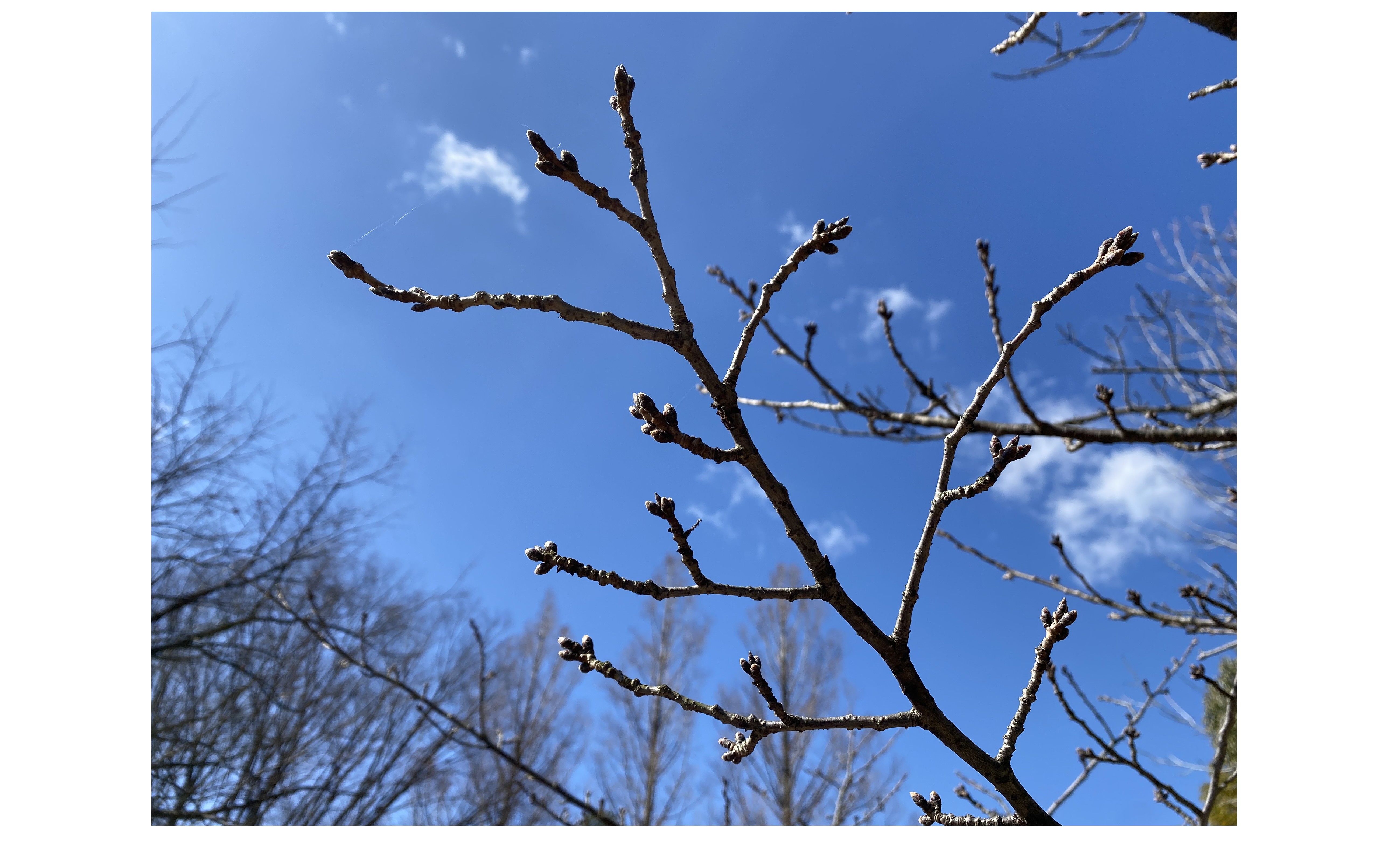 『足るを知る』