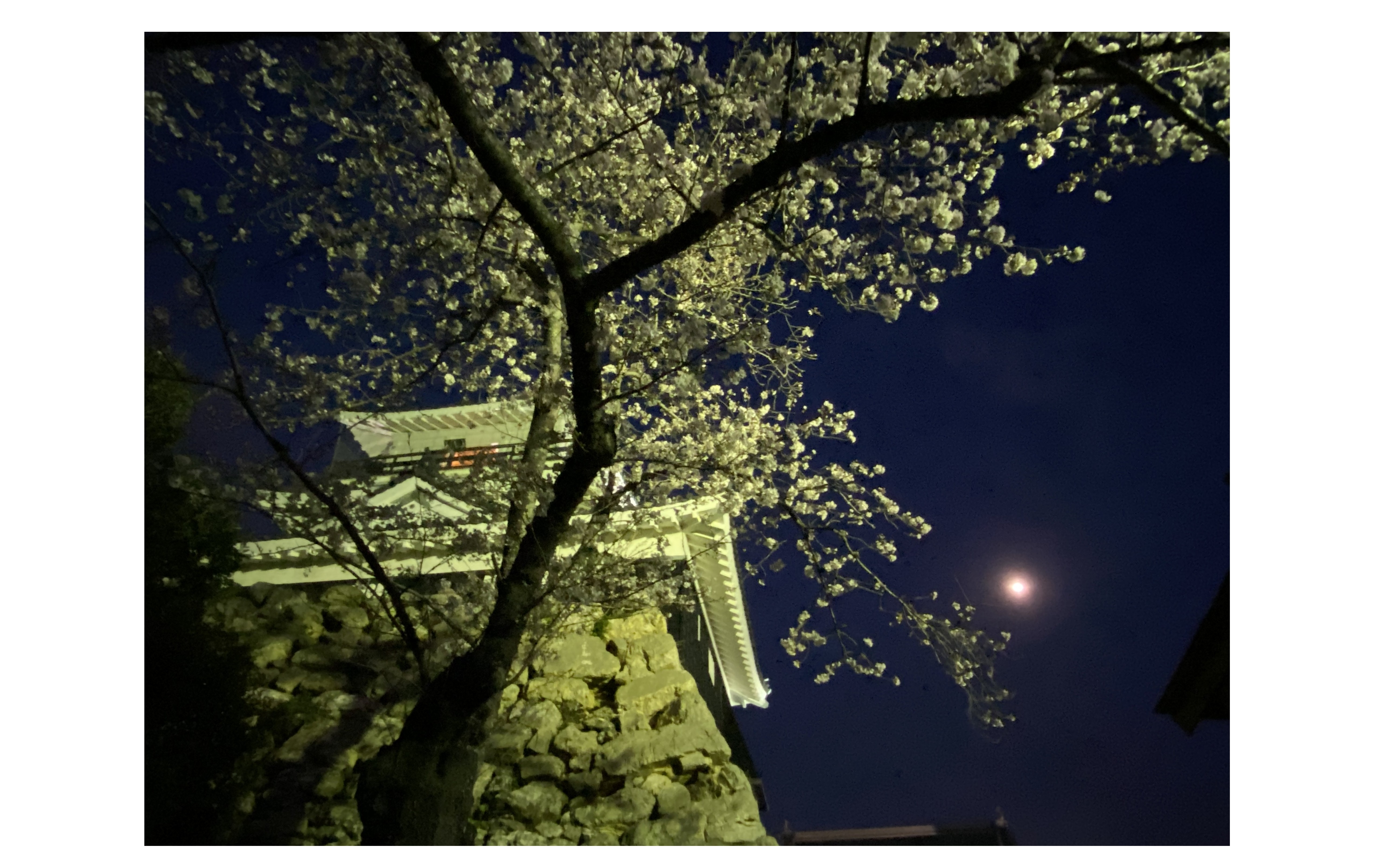 『知識より経験』