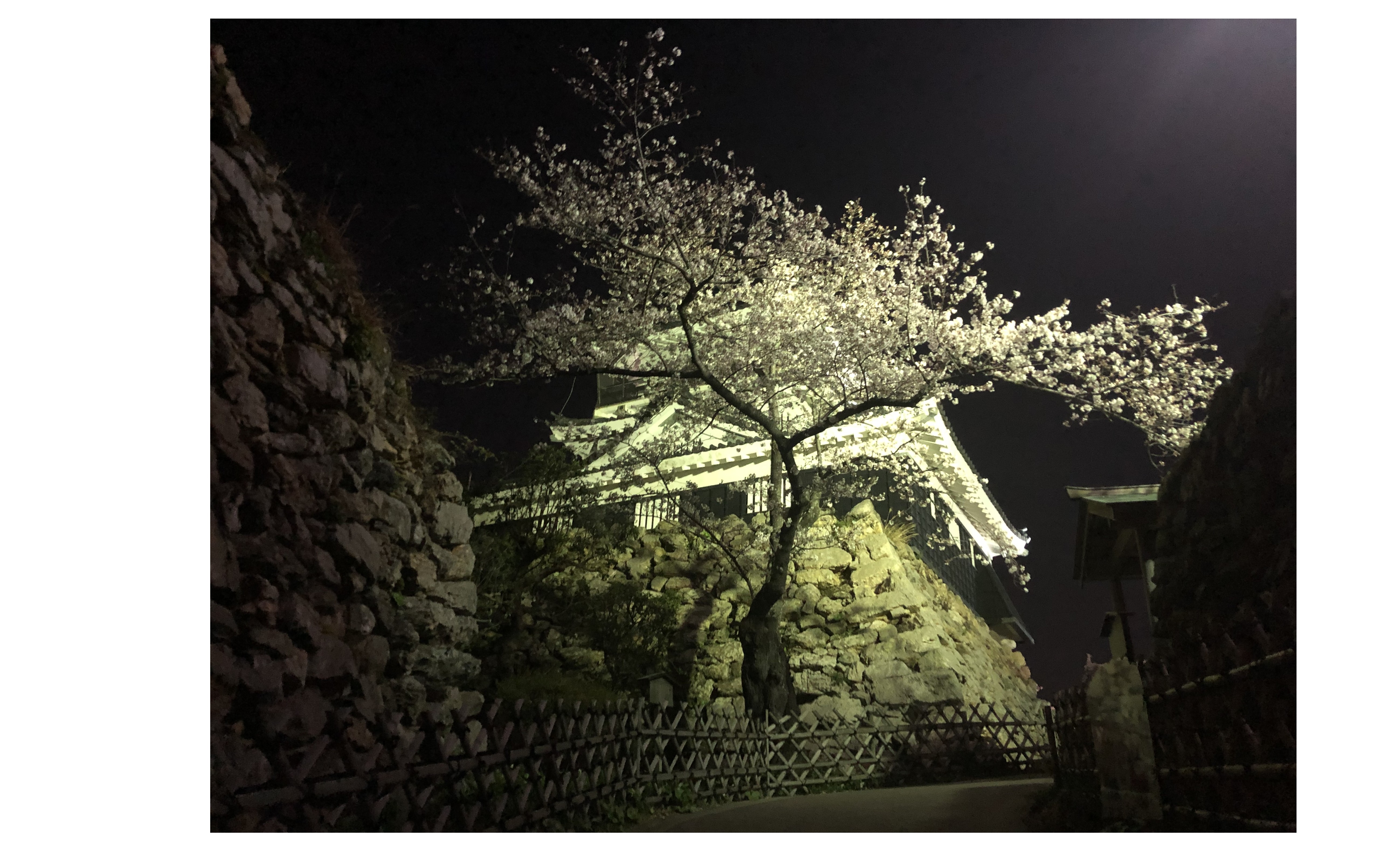 『節分の意味』