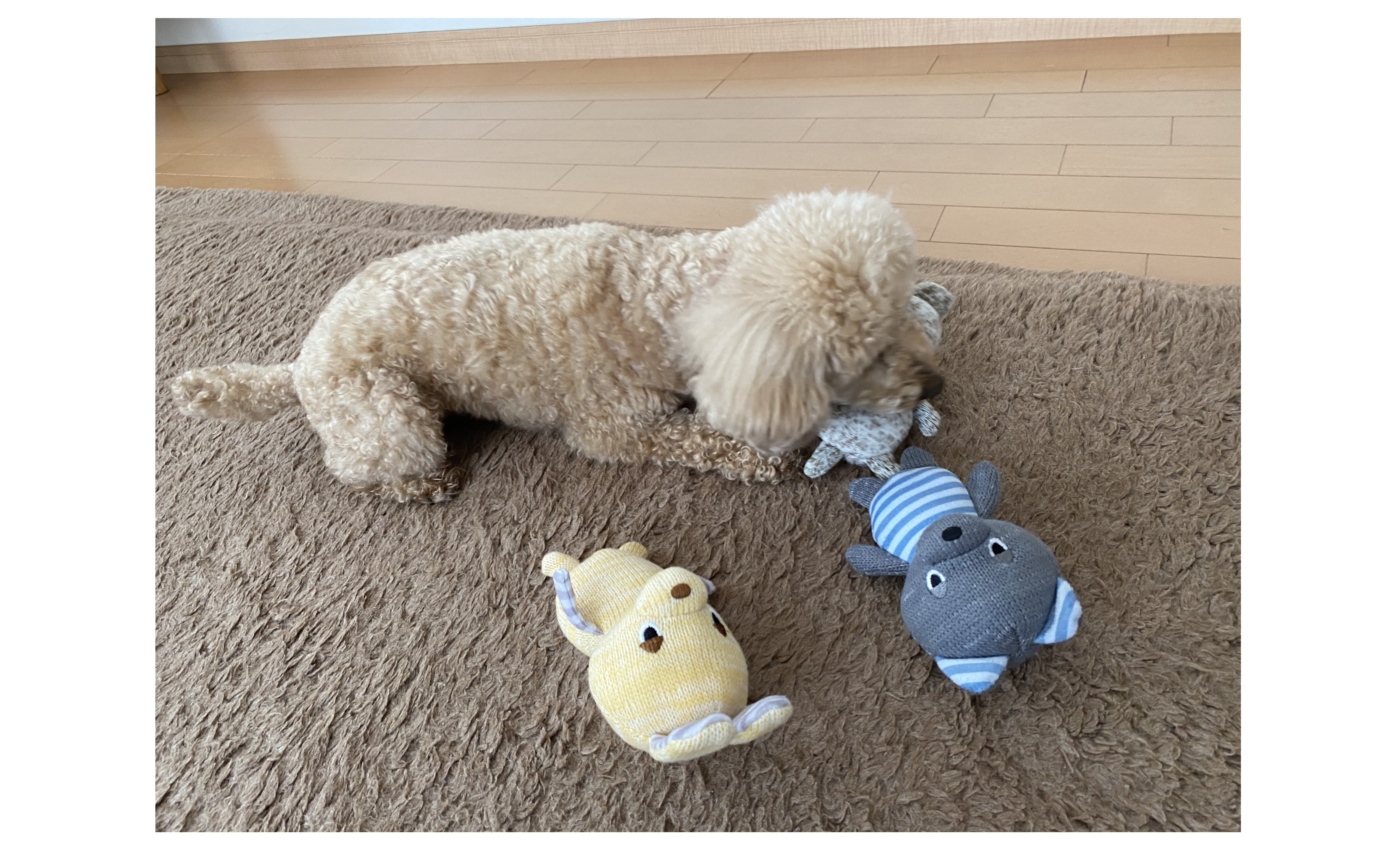 『誕生日プレゼント』