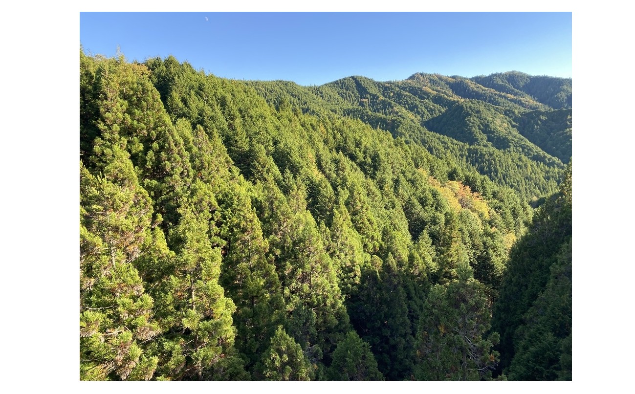 『大自然が教えてくれる事』