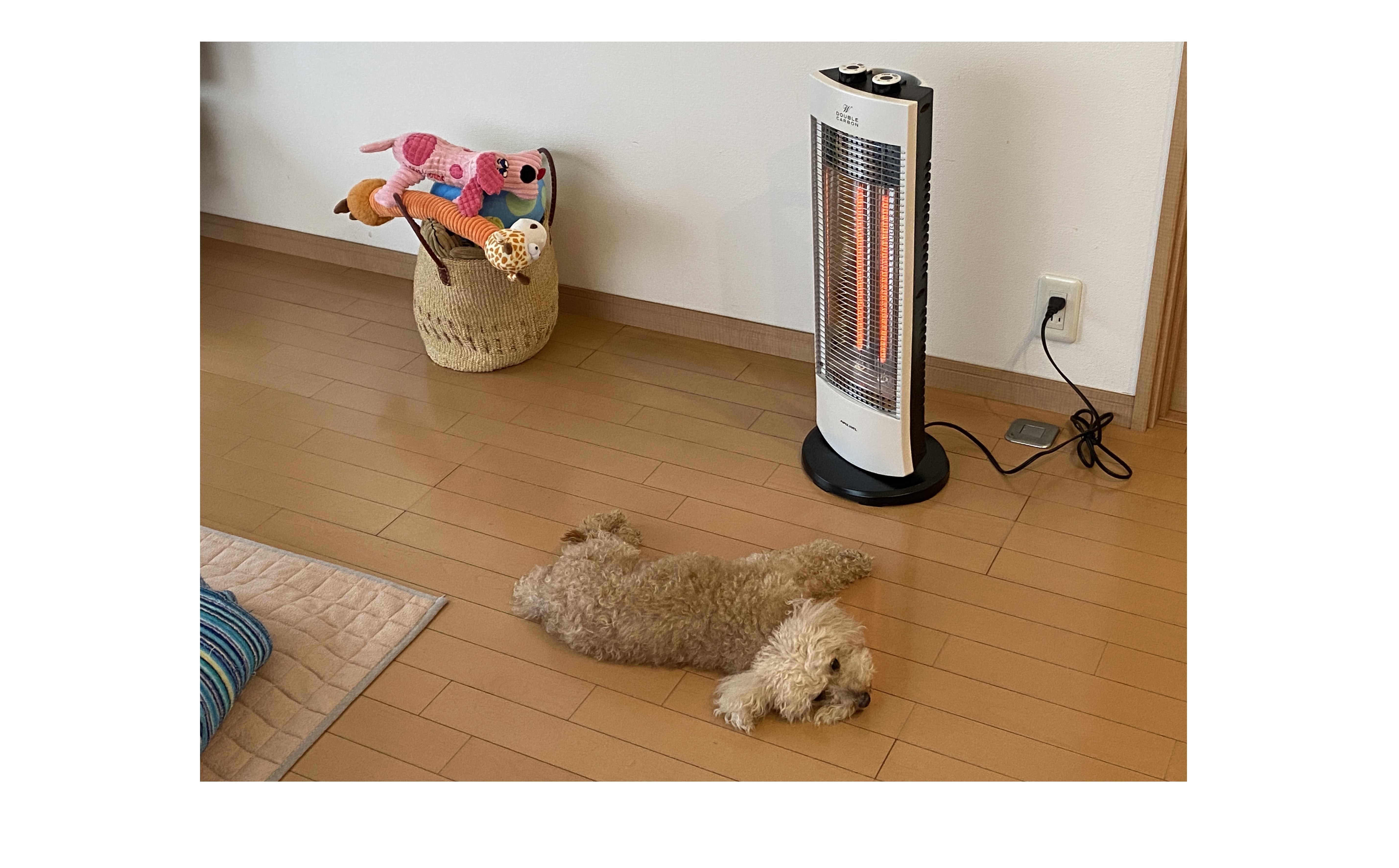 『いつものポジション』