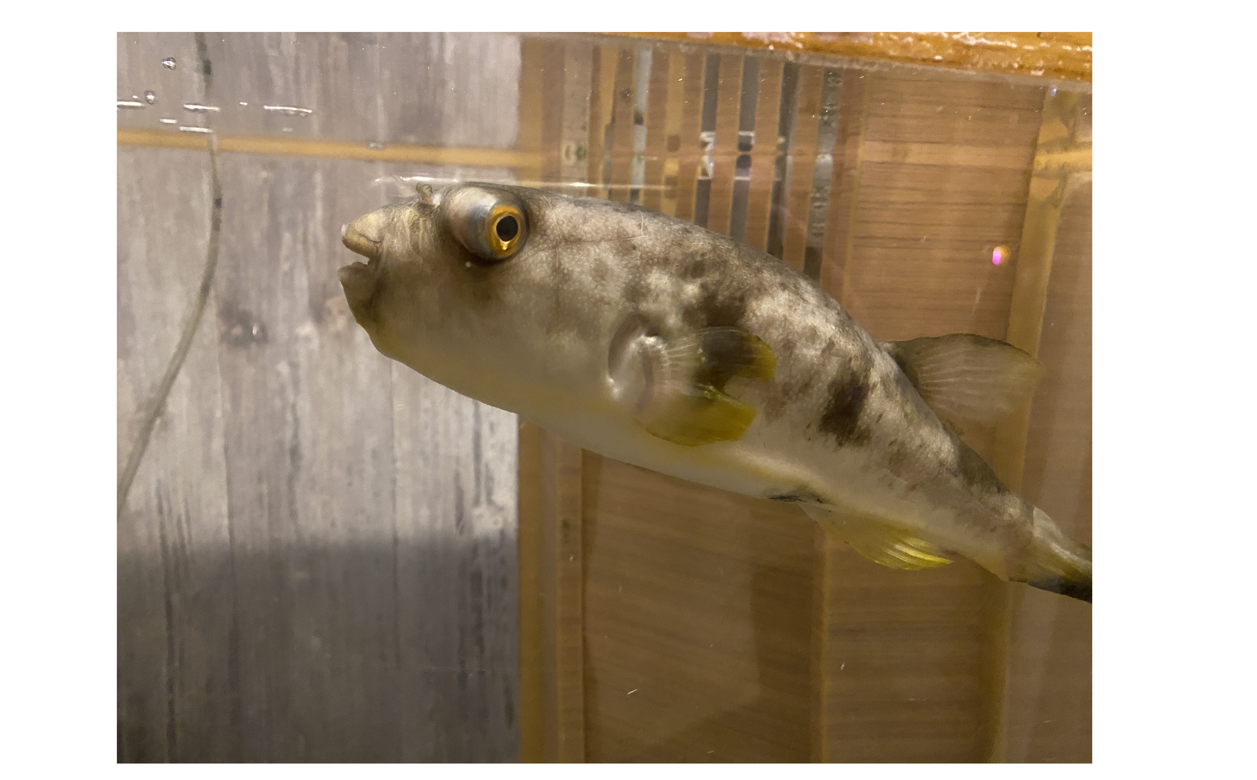 『品質の標準化』