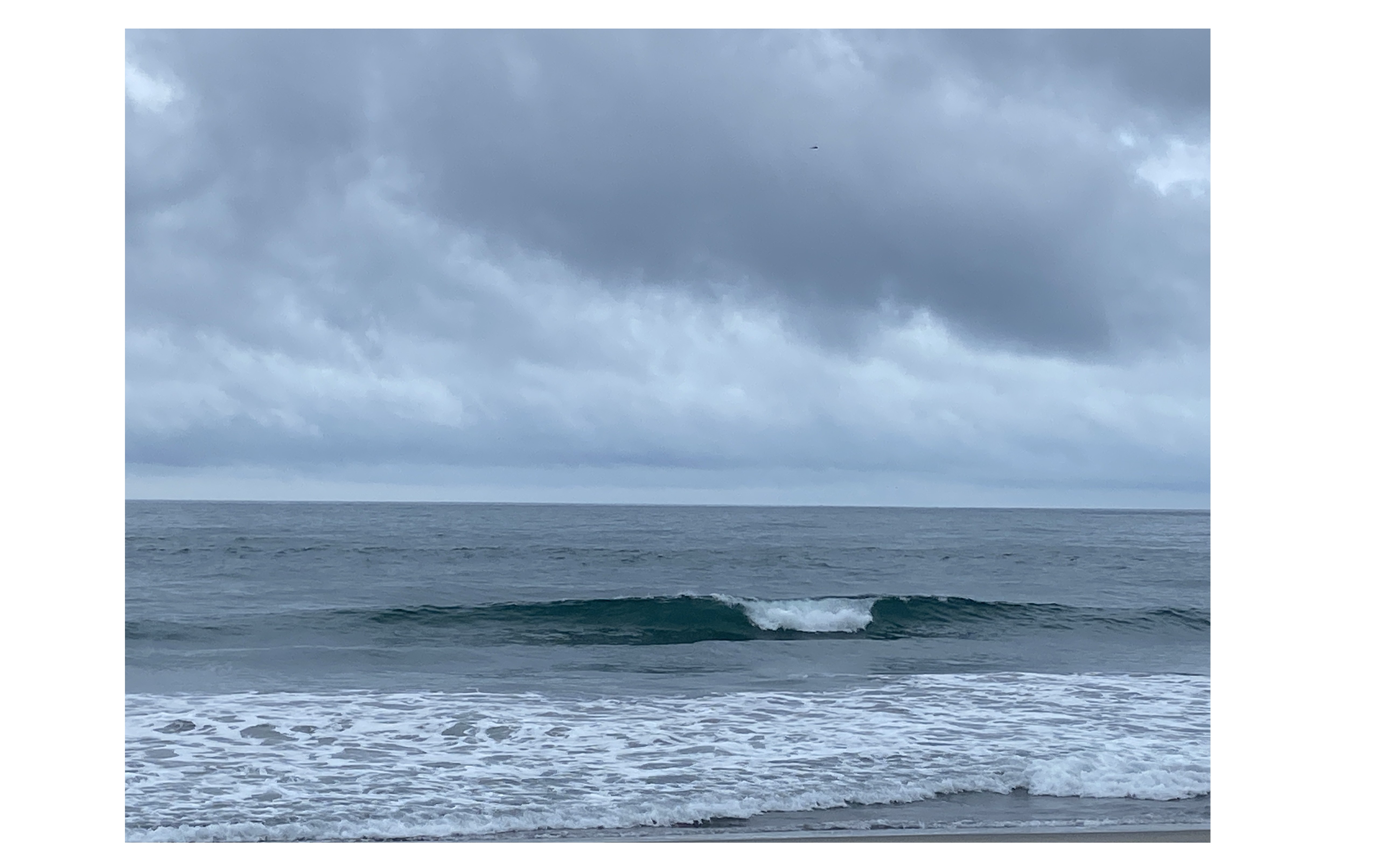 『目的ハラスメント』