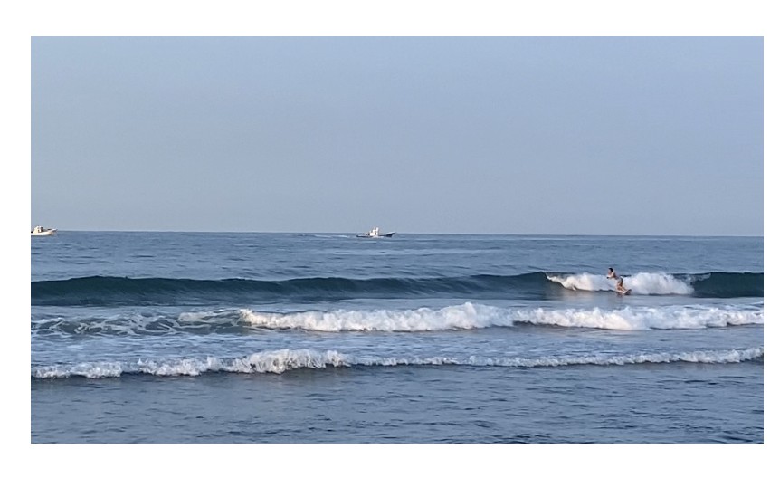 『育成責任者』