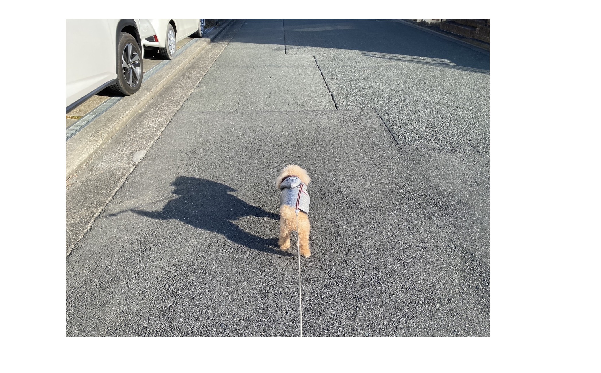 『怒っても何も変わらない』