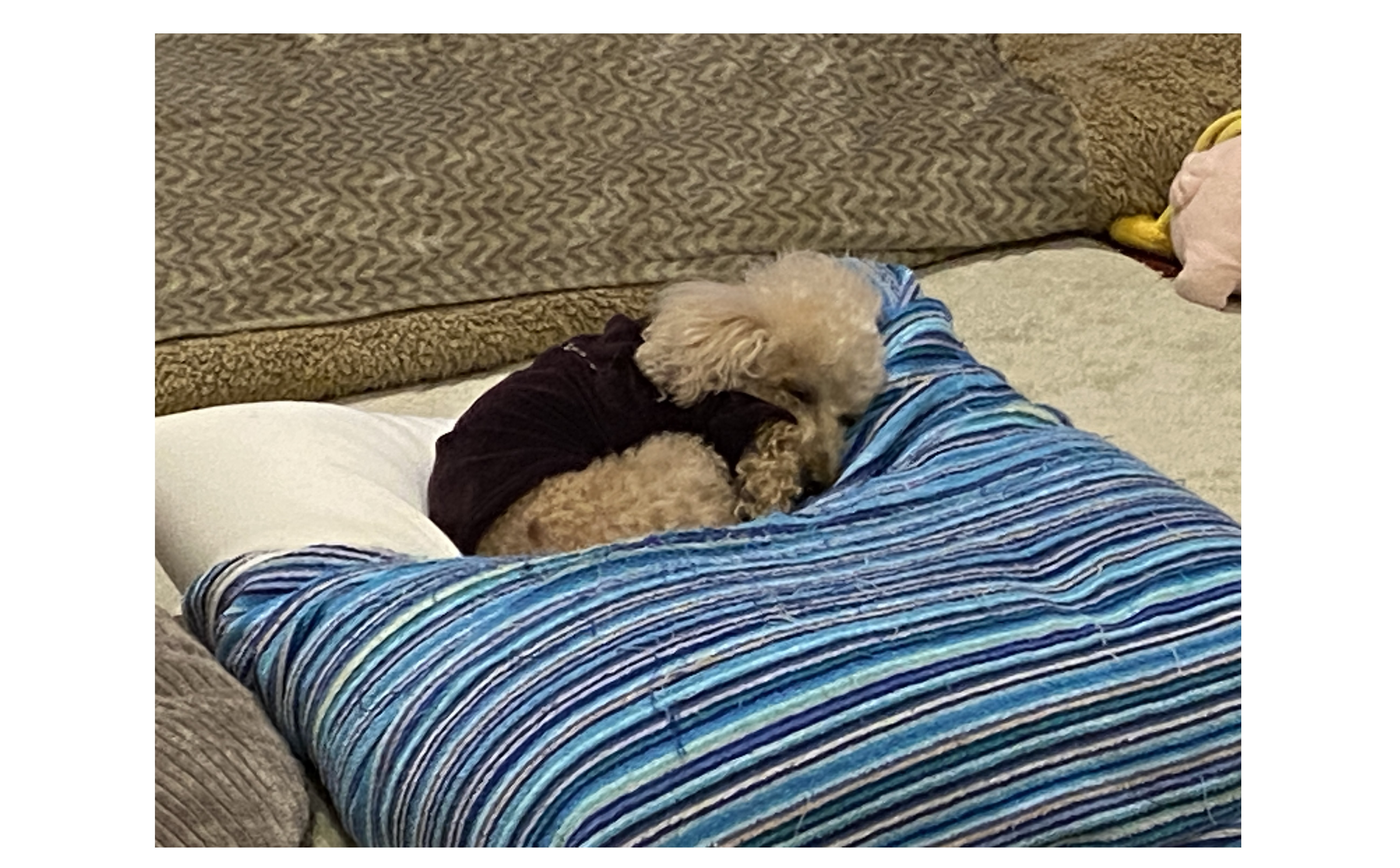 『採用活動の変化』