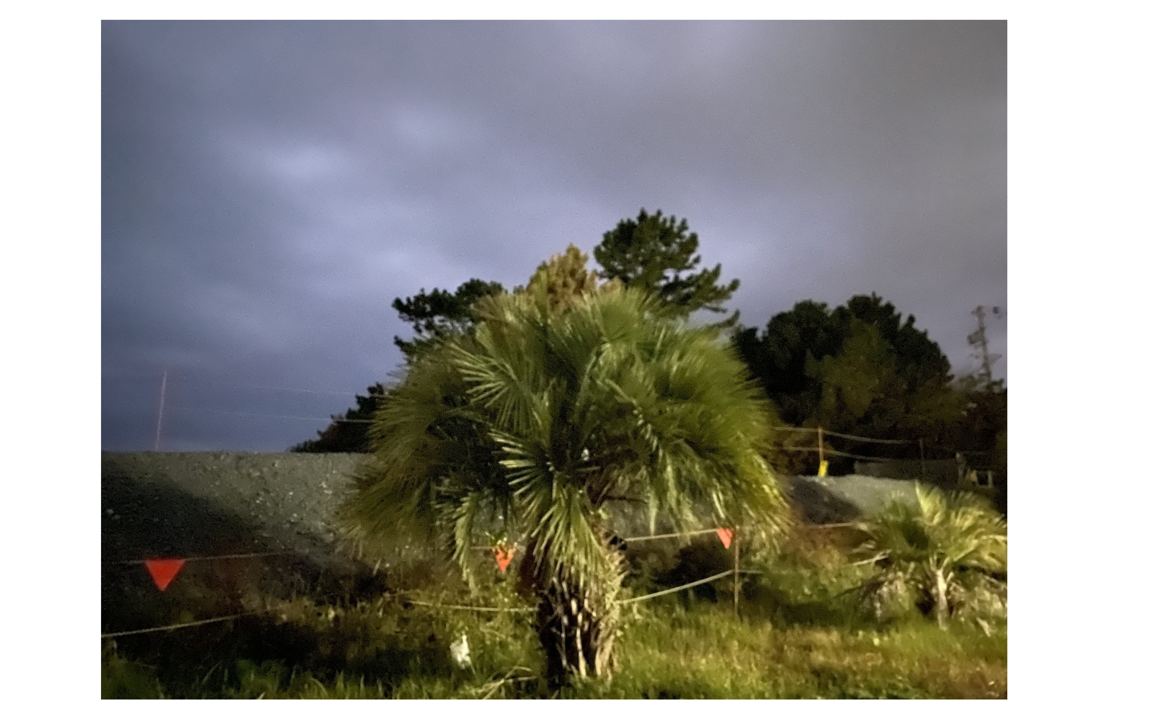 『やっぱりサーフィンが好き』