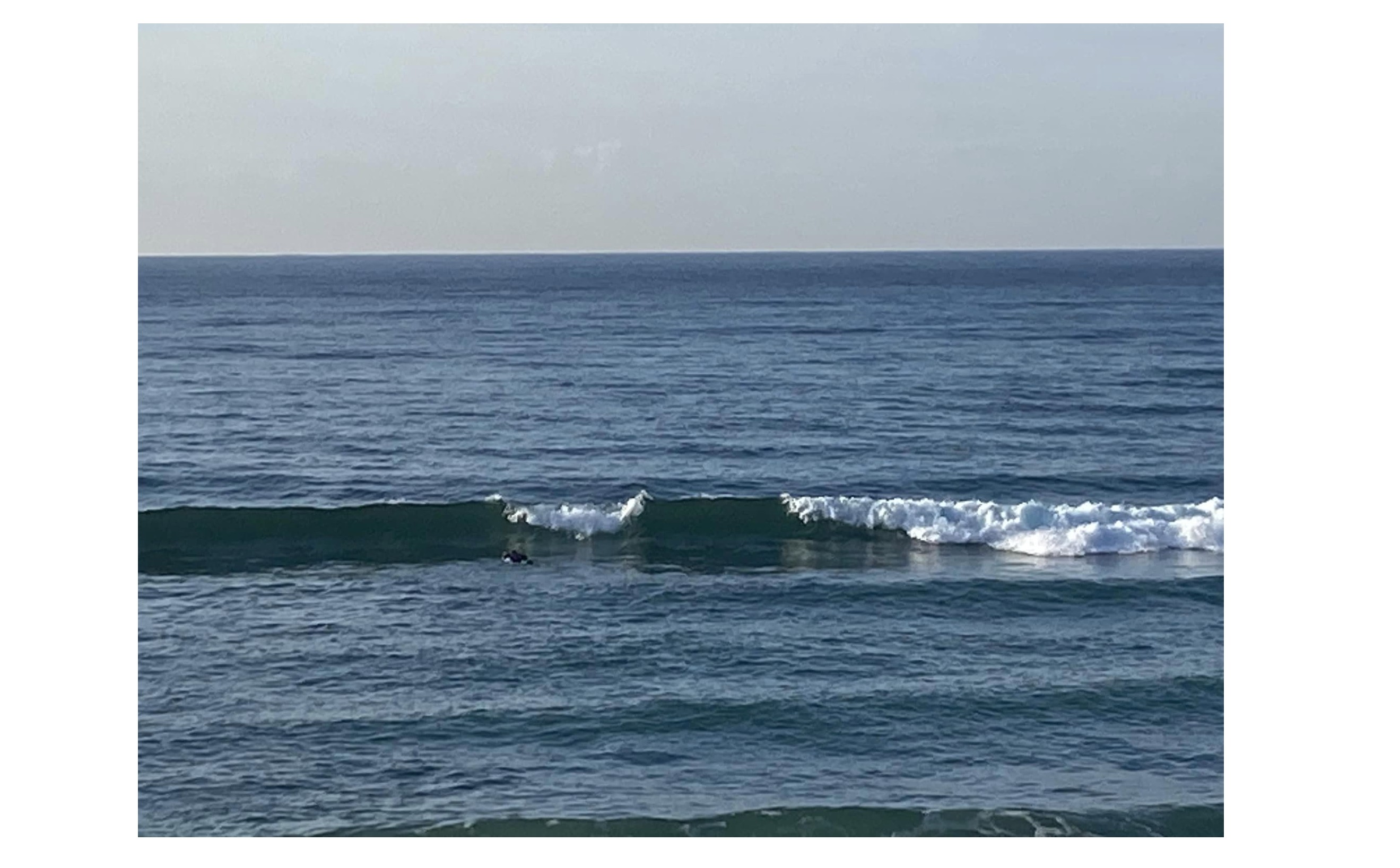 『癒されます』