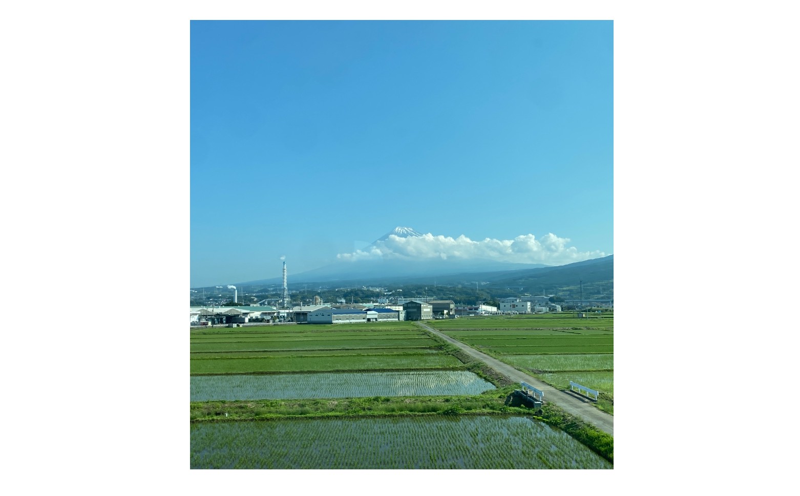 『勉強は誰の為にするのか』