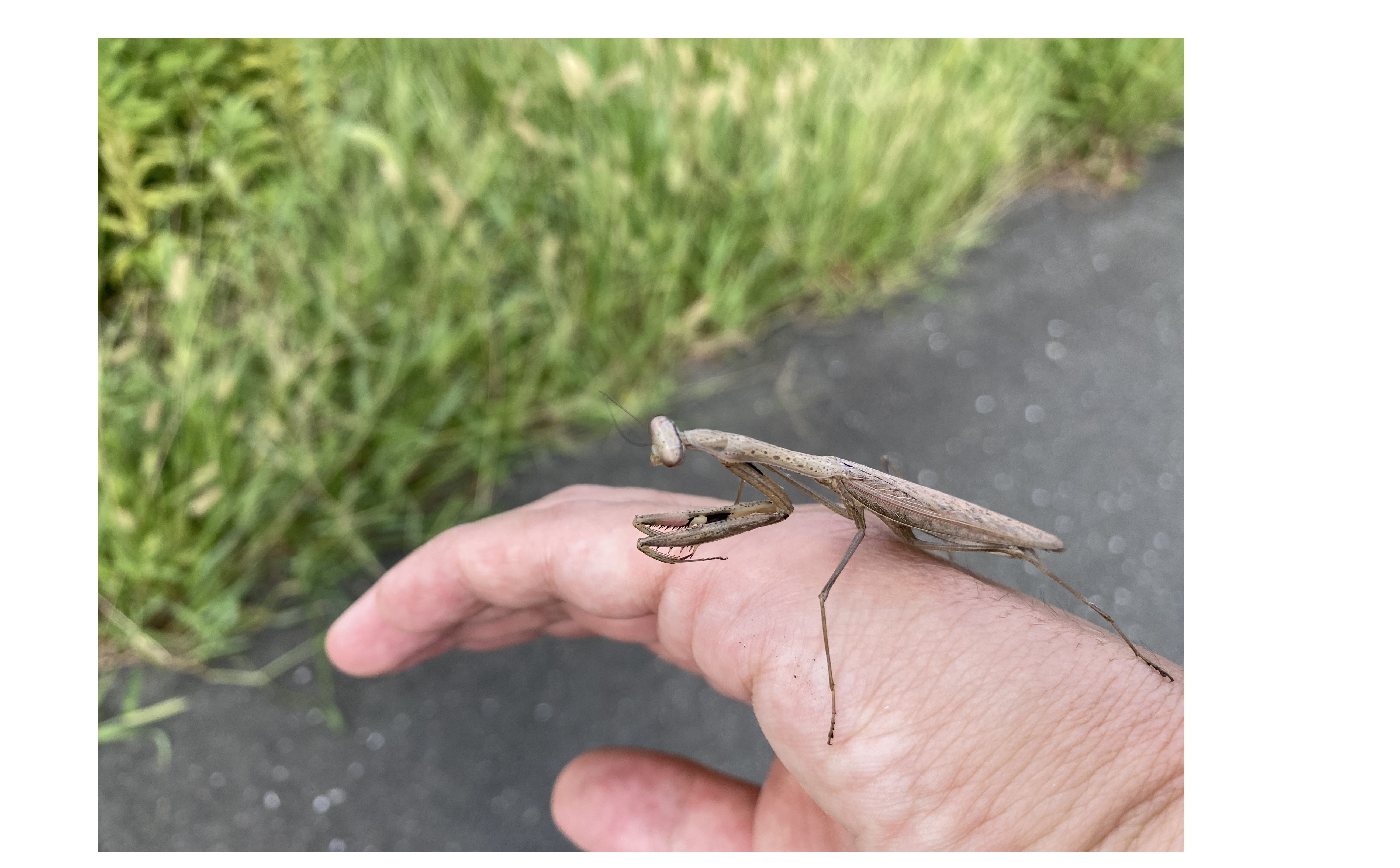 『風通しいい職場』