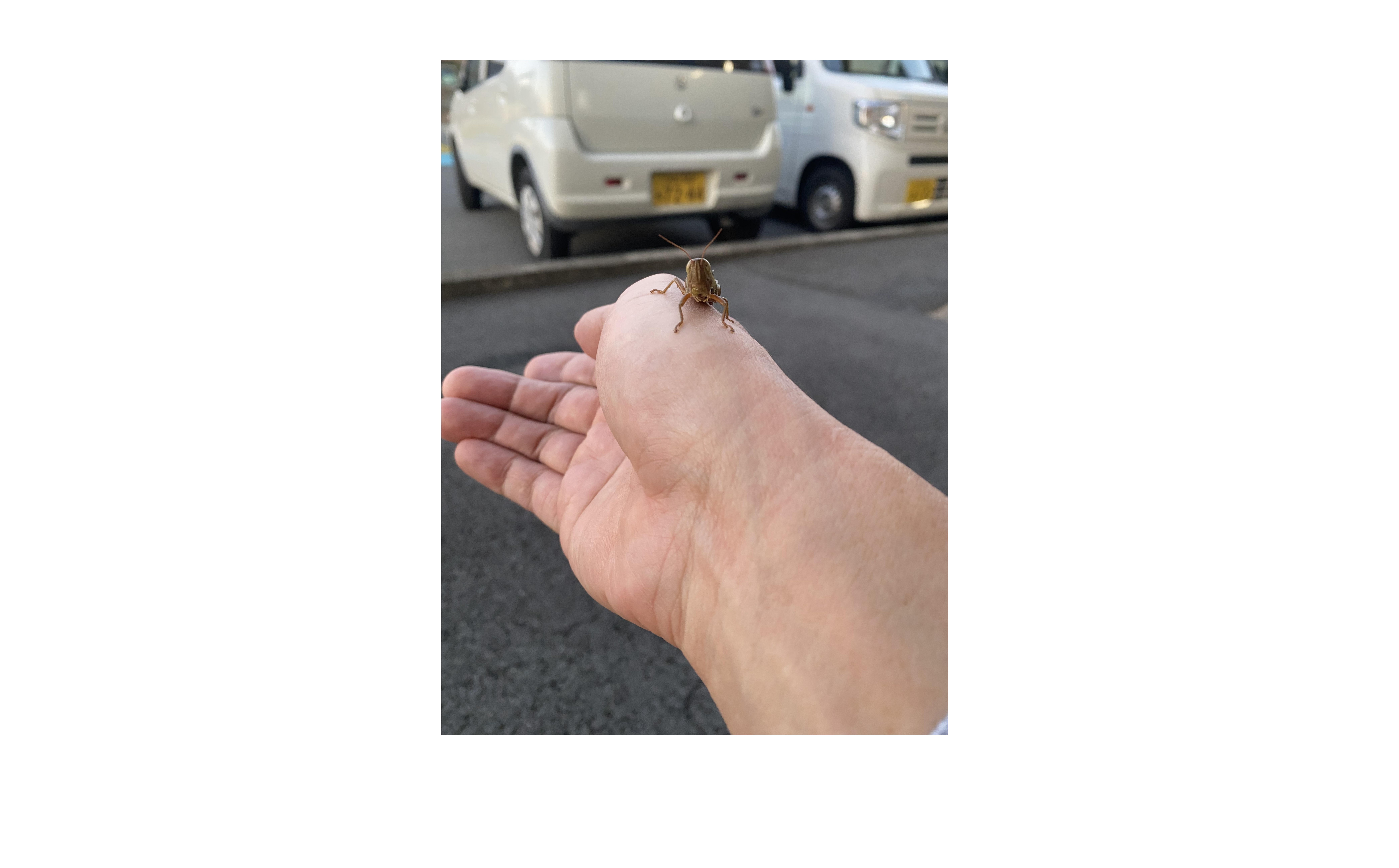 『チーム不動産』