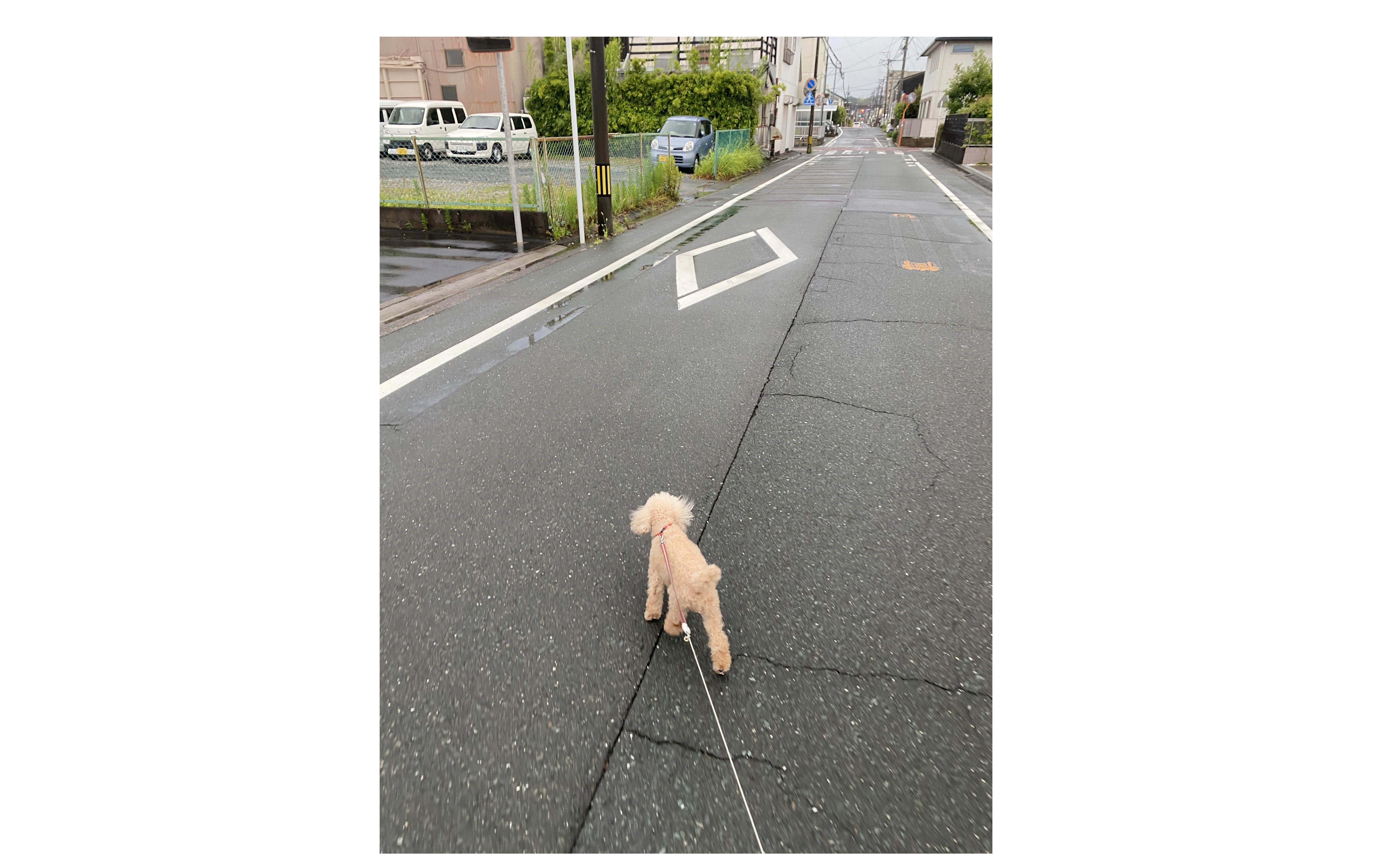 『若手をどう育てるか』