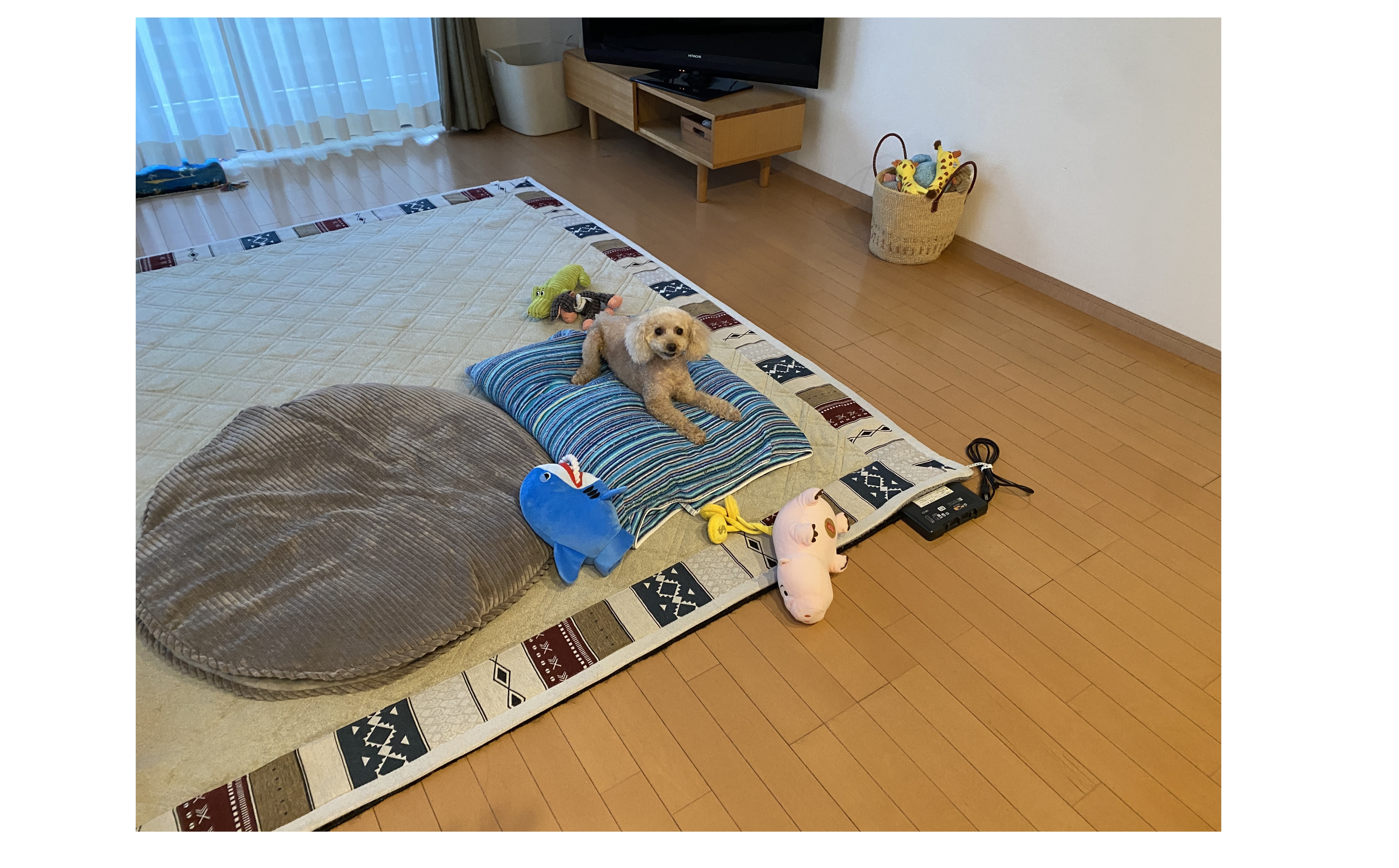 『誕生日プレゼント』