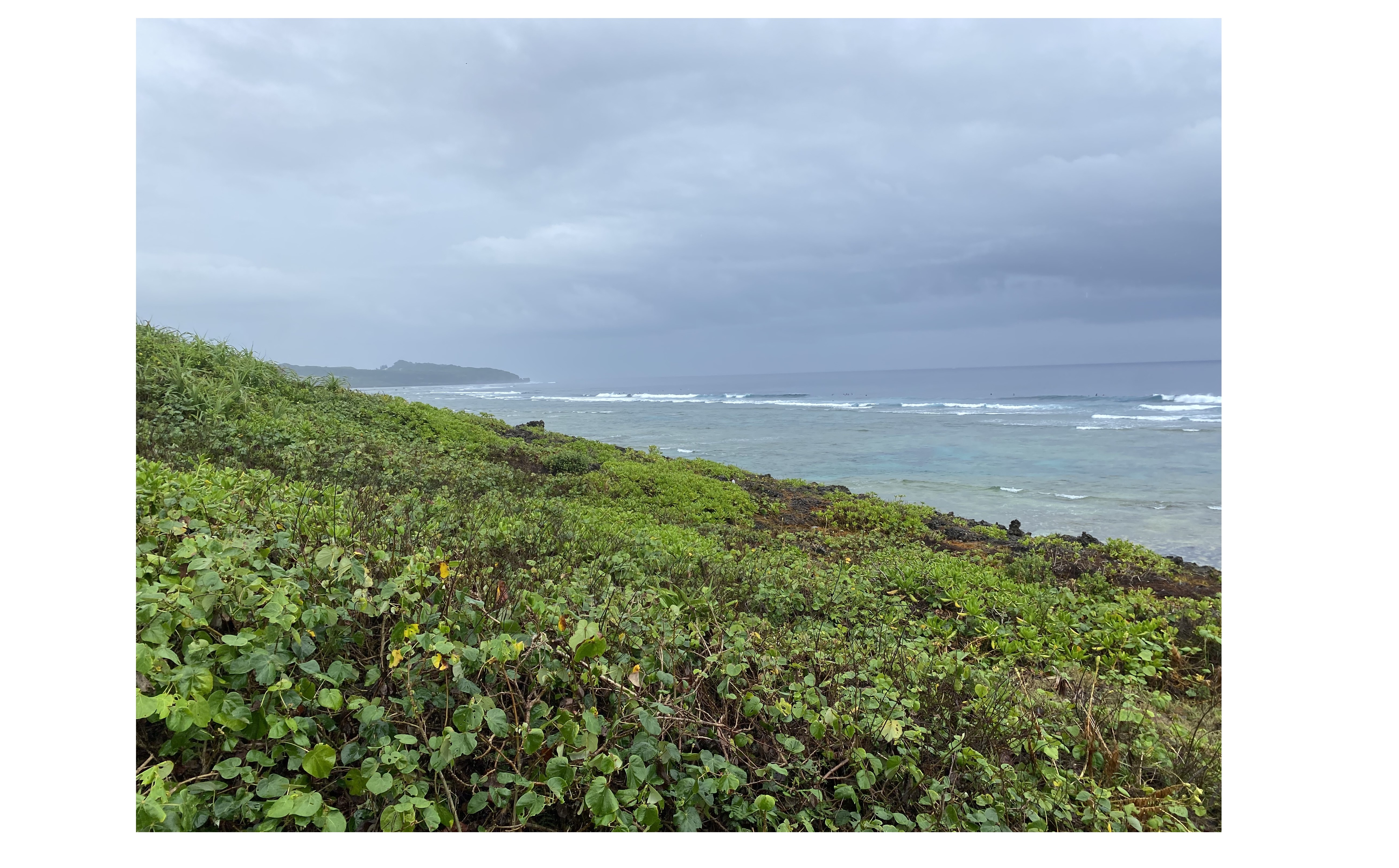 『知らなかった事』