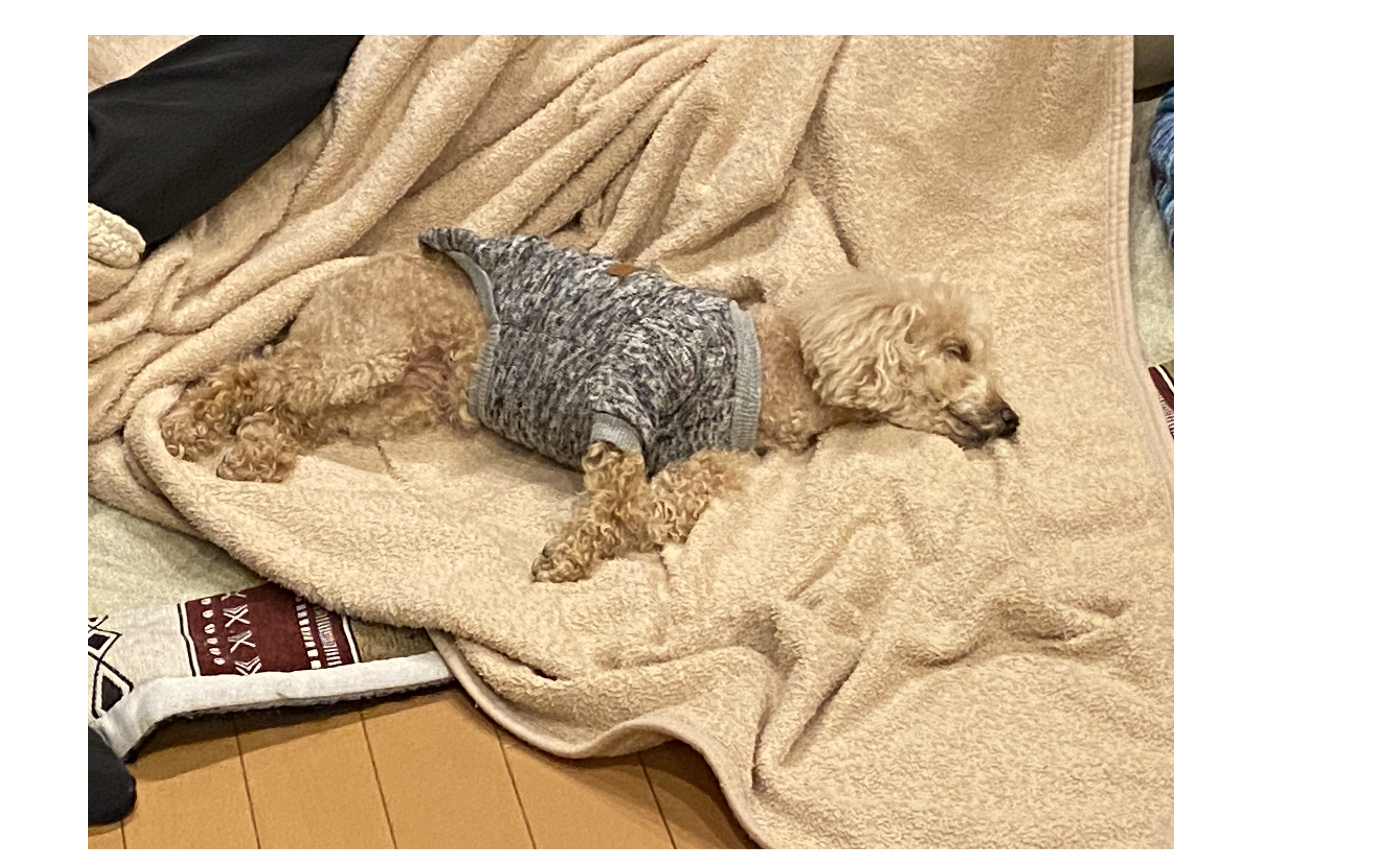 『ビジネスで何が何でも結果を出して、継続発展させる』