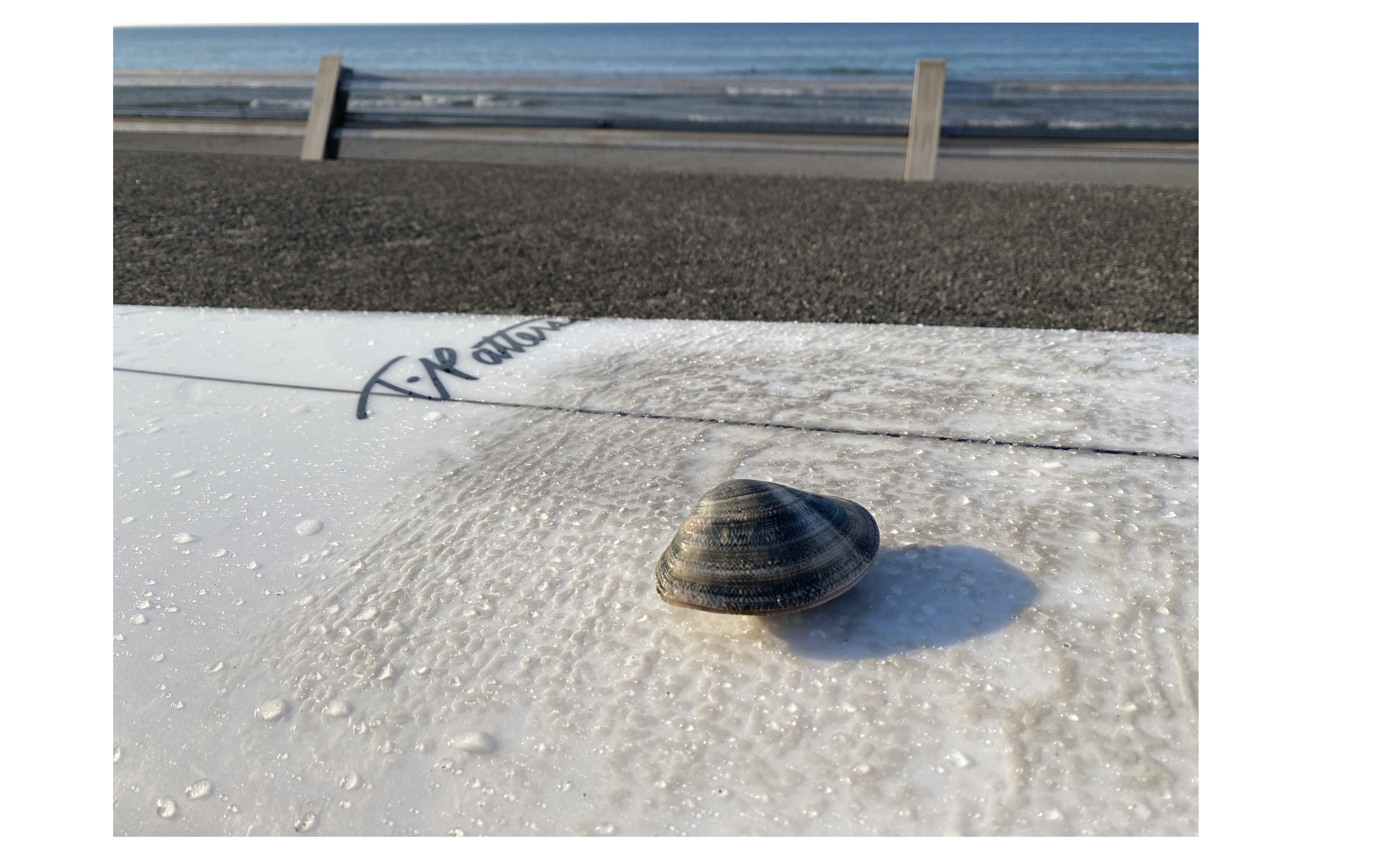 『春がやってきた』