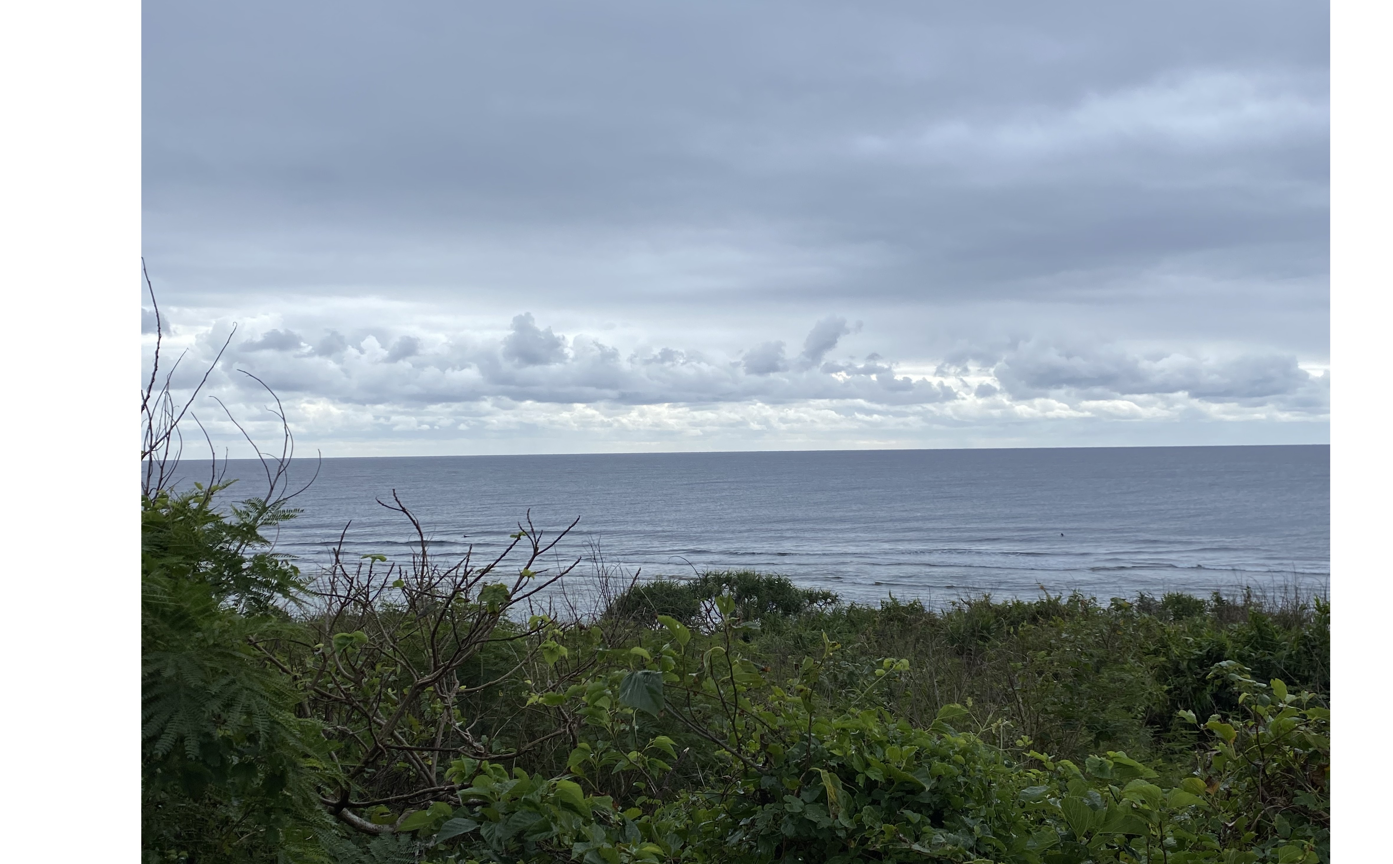 『優しさと甘さ』