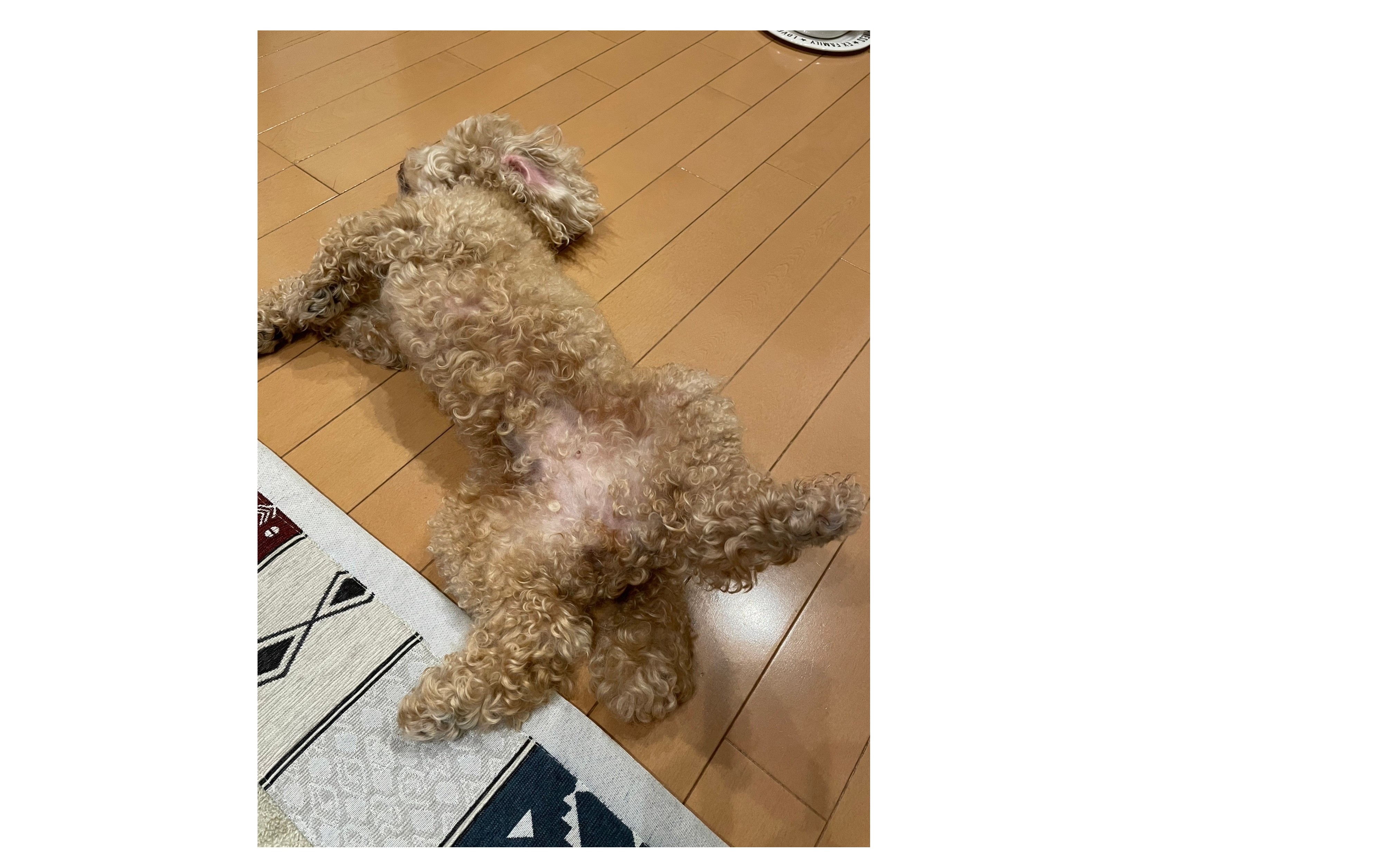 『安易な同調』