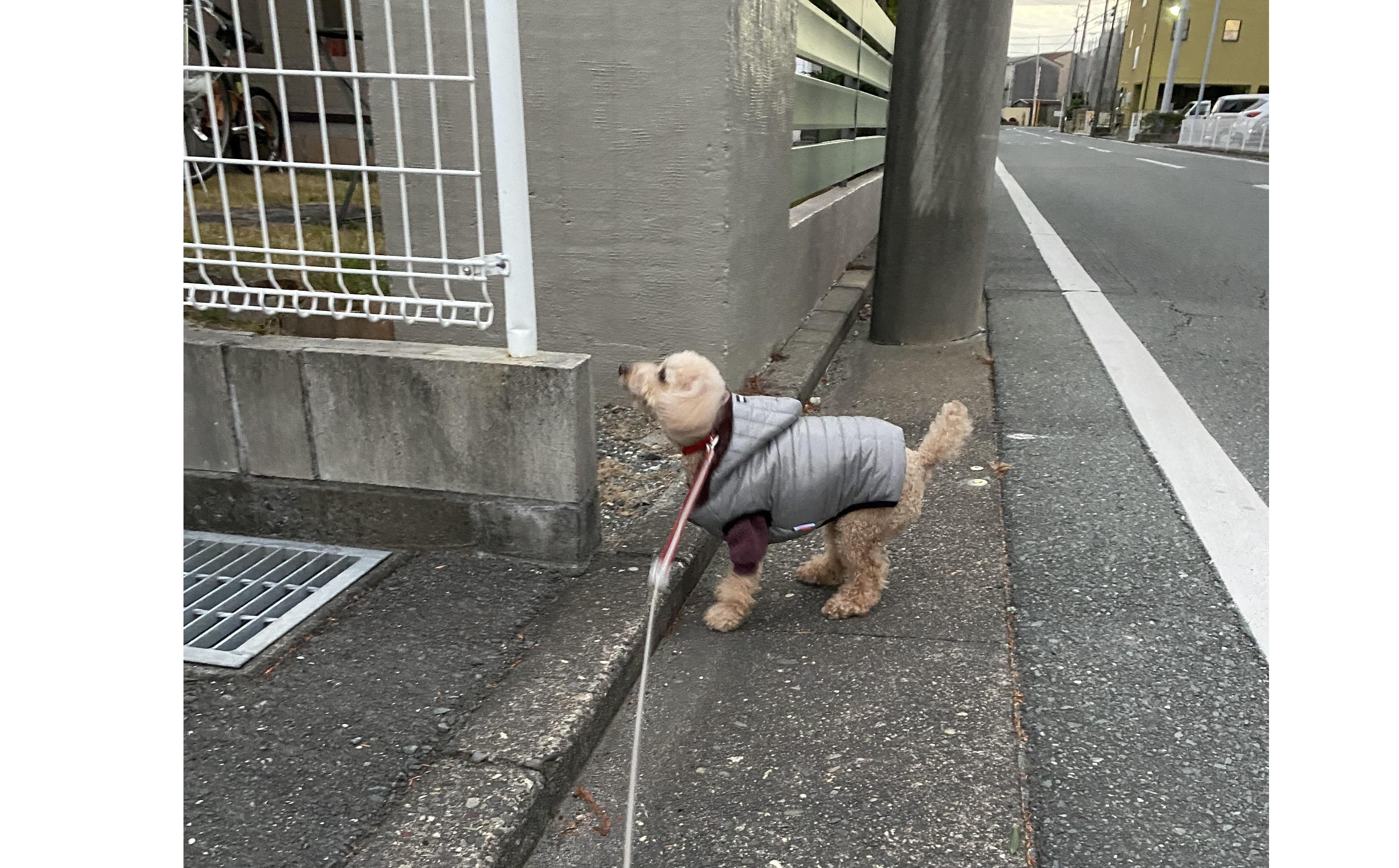 『変わらぬ姿勢』