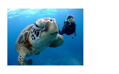 ５年ぶりに飛行機で家族旅行に行ってきます(^○^)