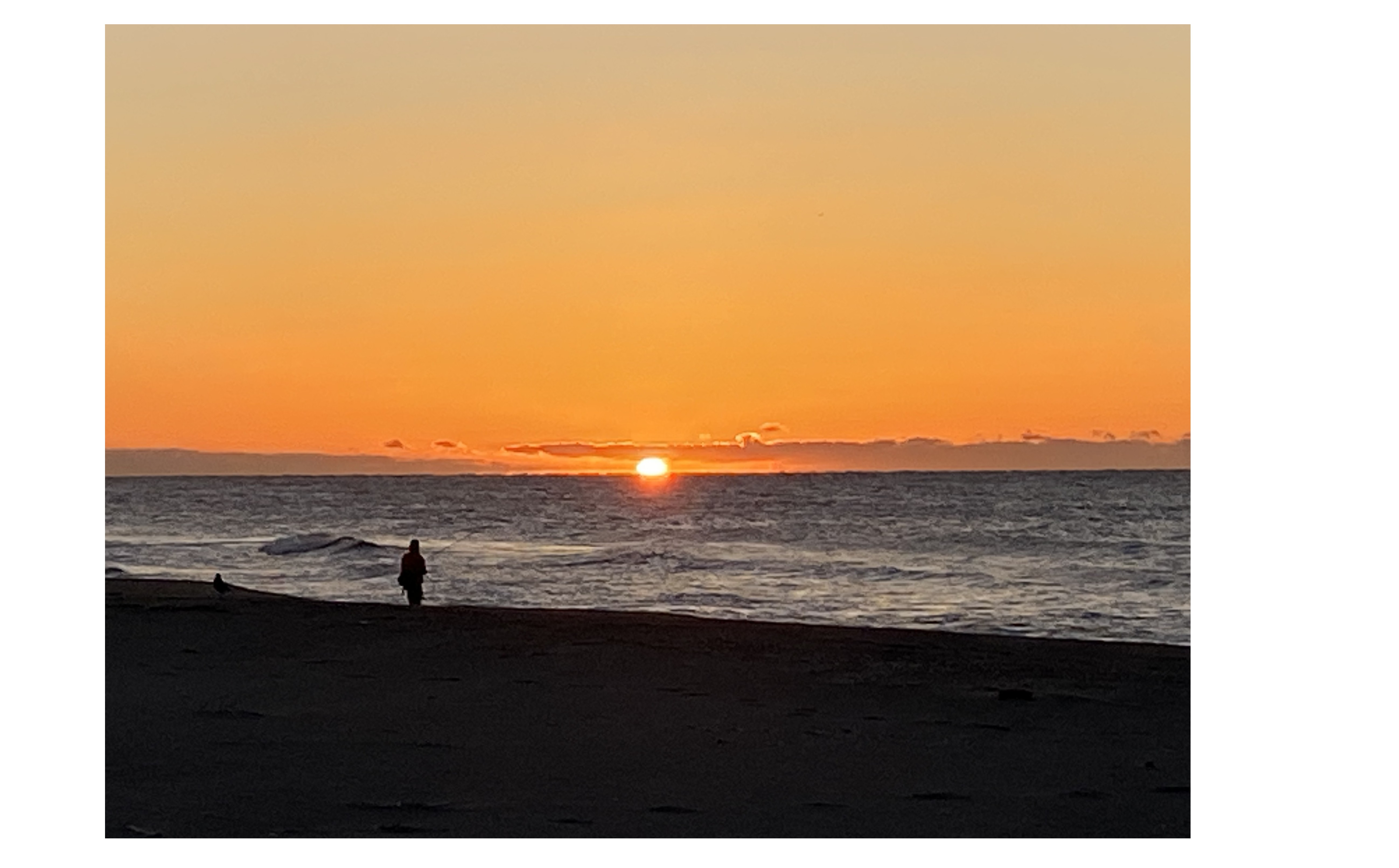 『久しぶりの勉強会』