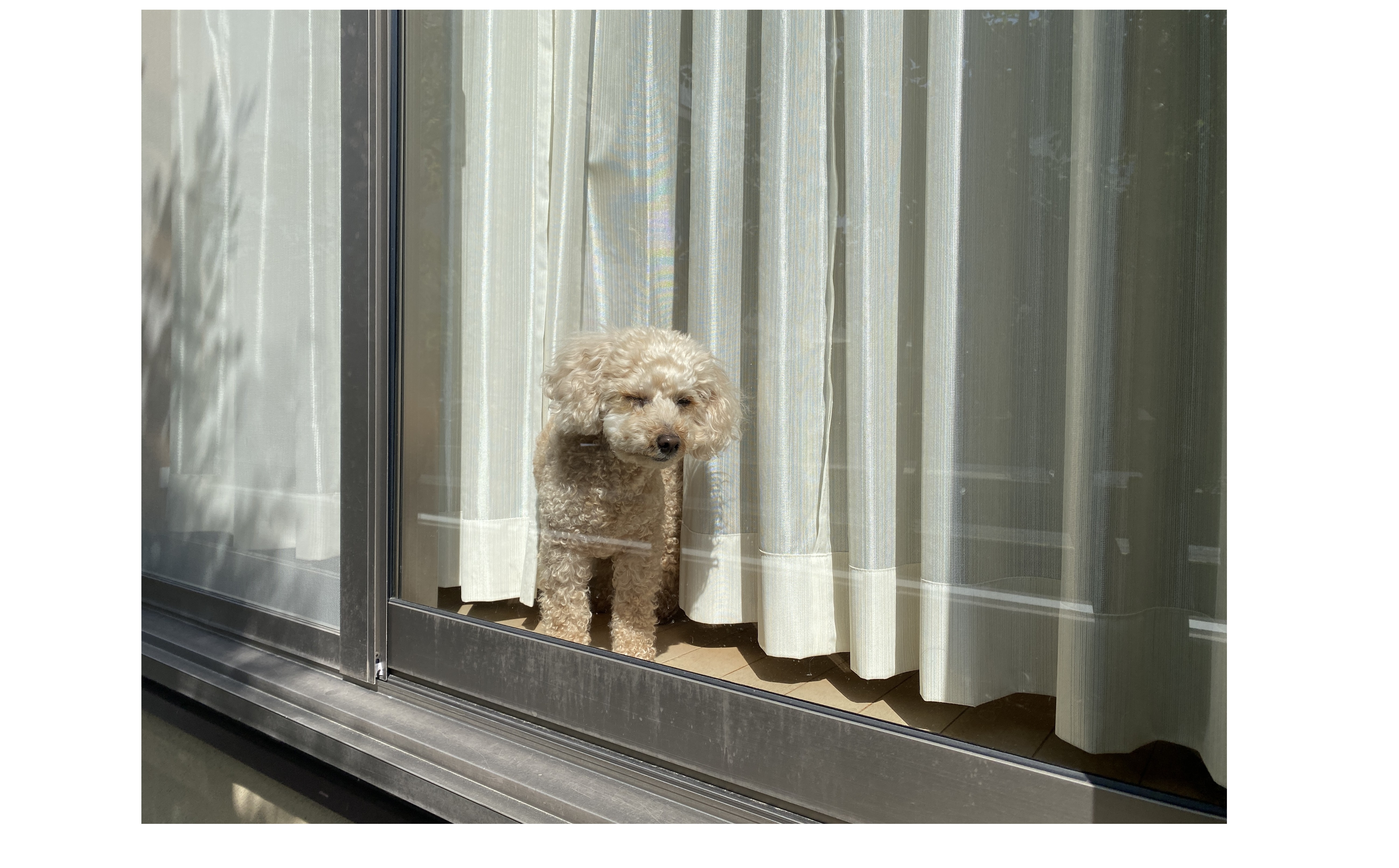 『真の担当者とは』