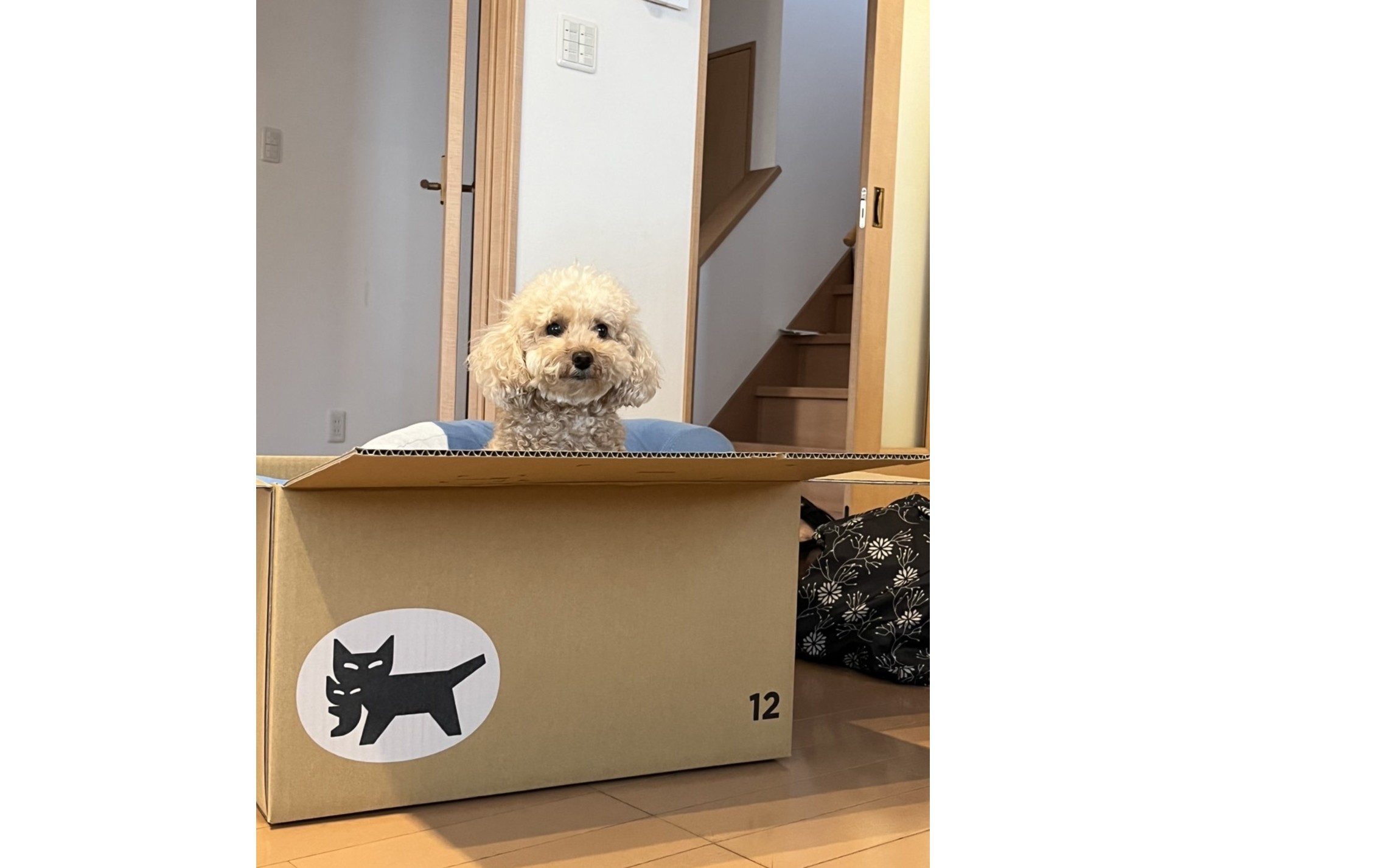 『ポジショニングマップ』