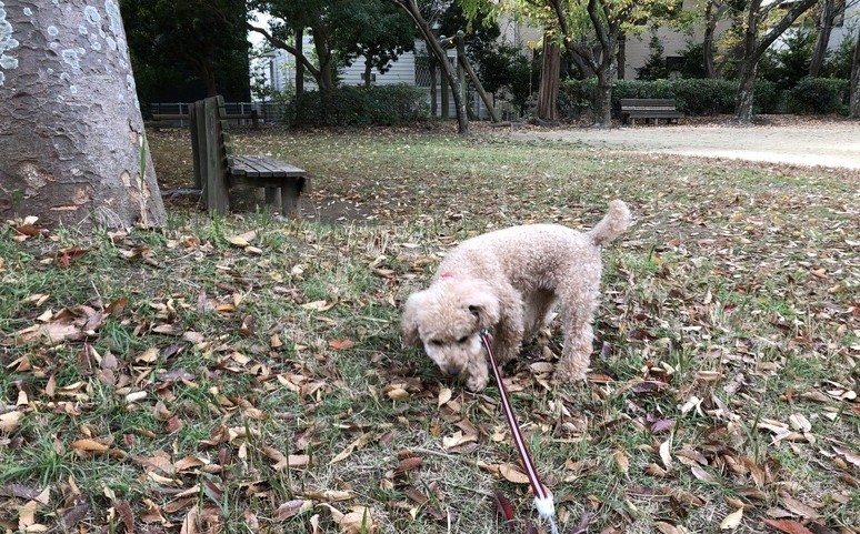 『不動産研修始まりました』