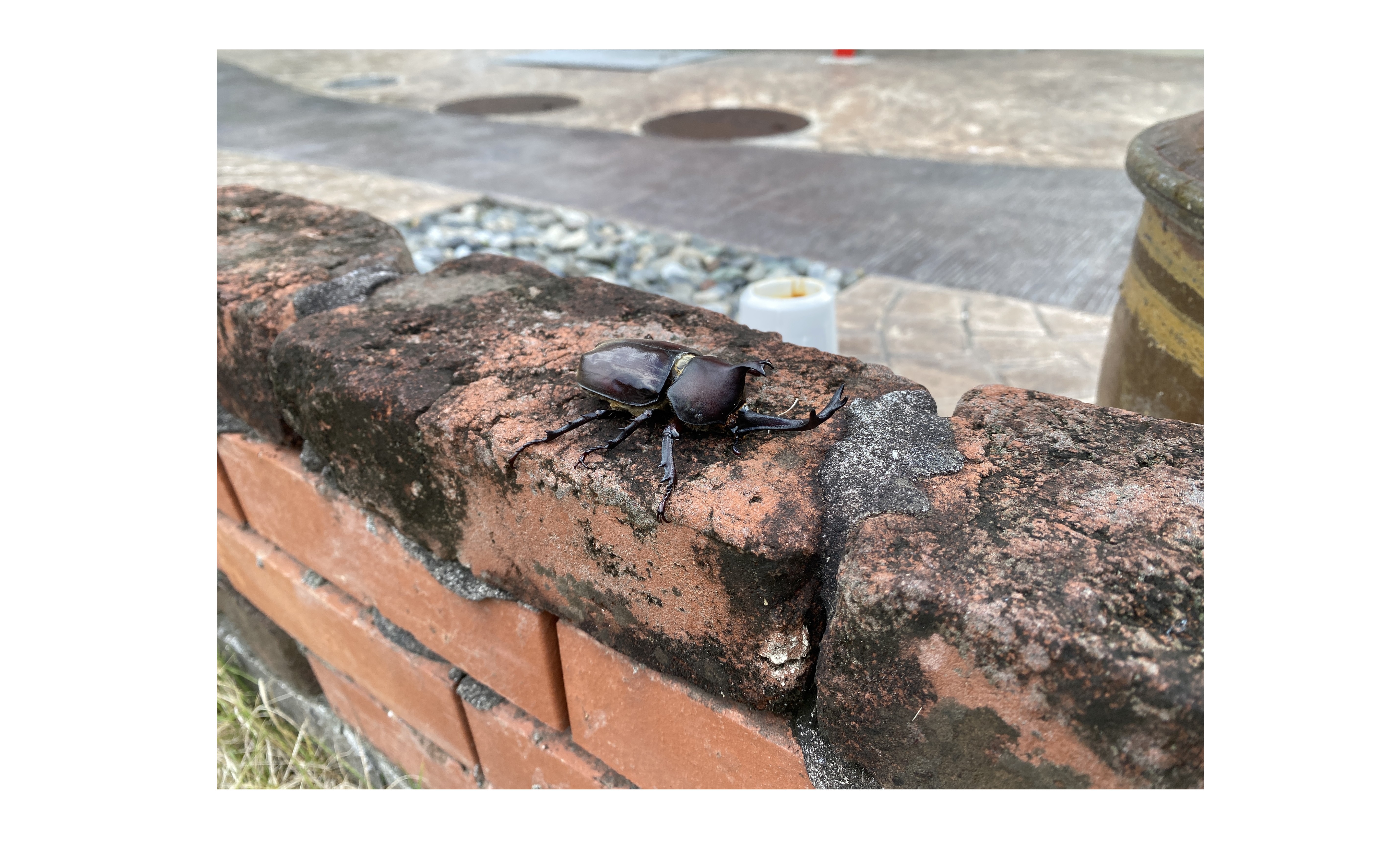 『会議は難しい』