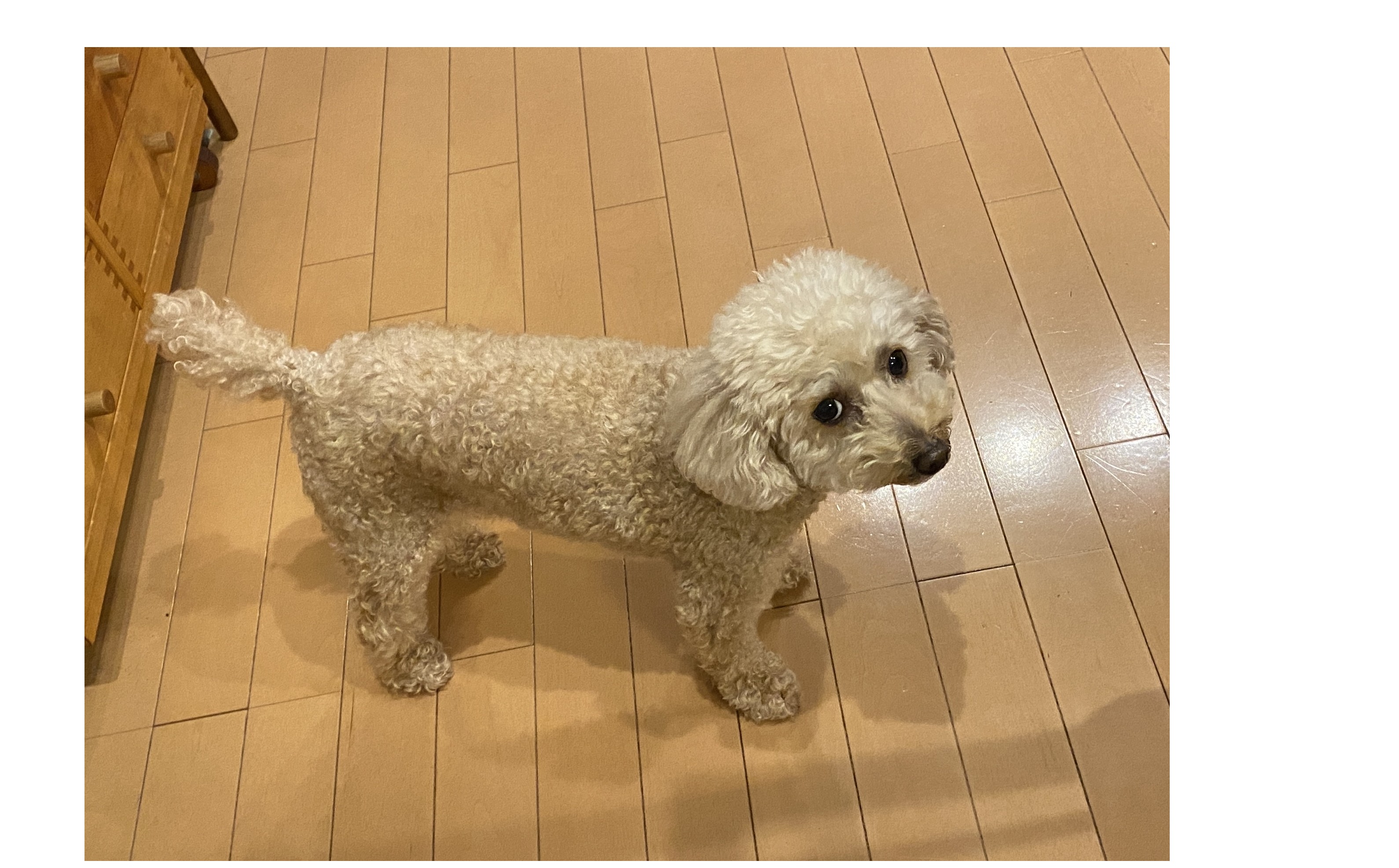 『いつもそばに』