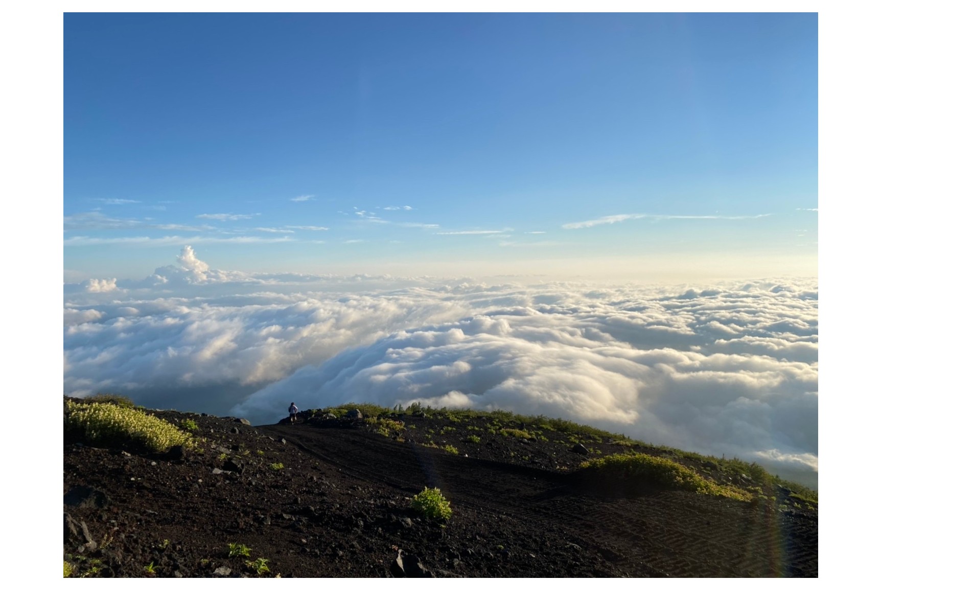 『これでいいのか』