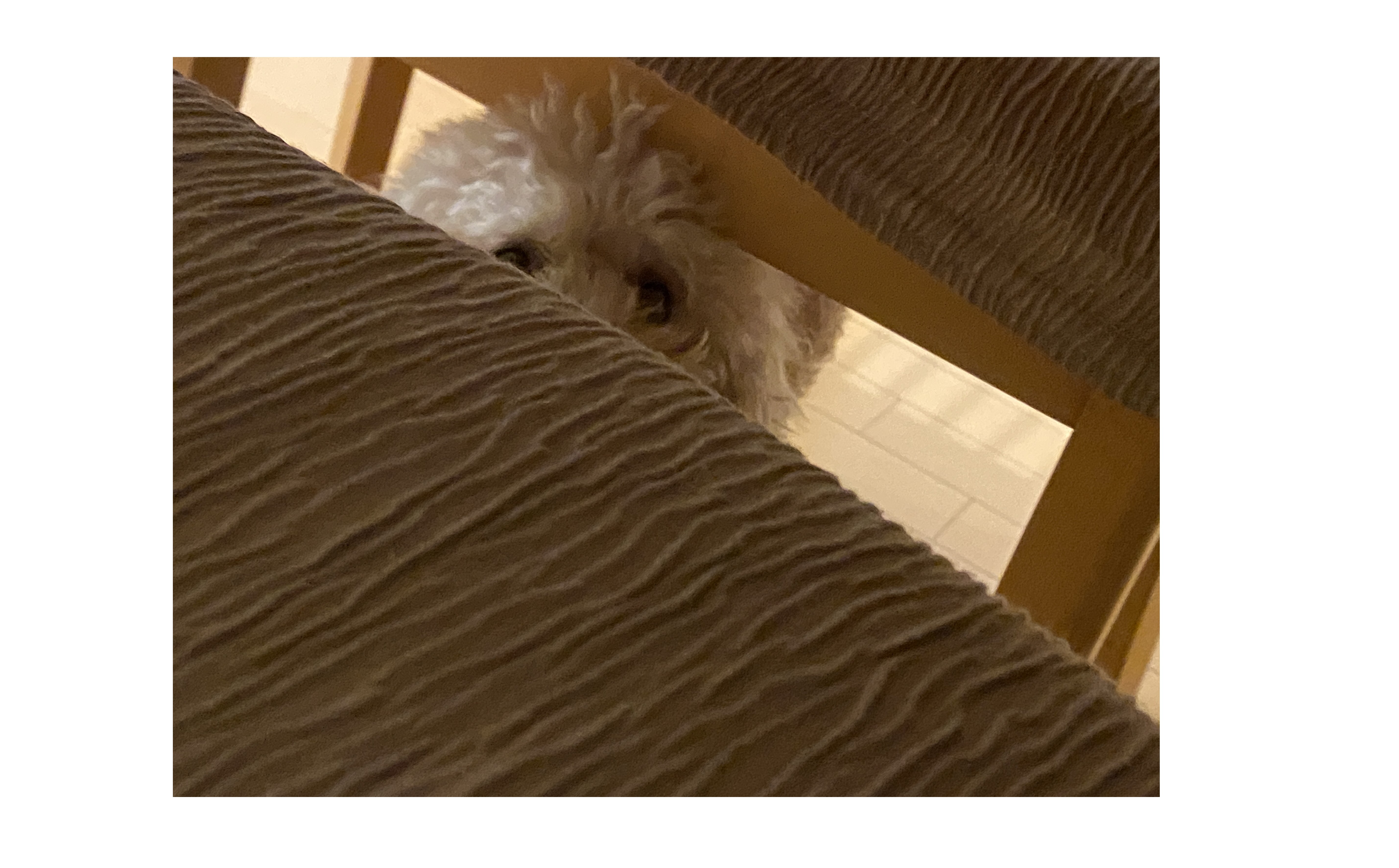 『営業の役割』