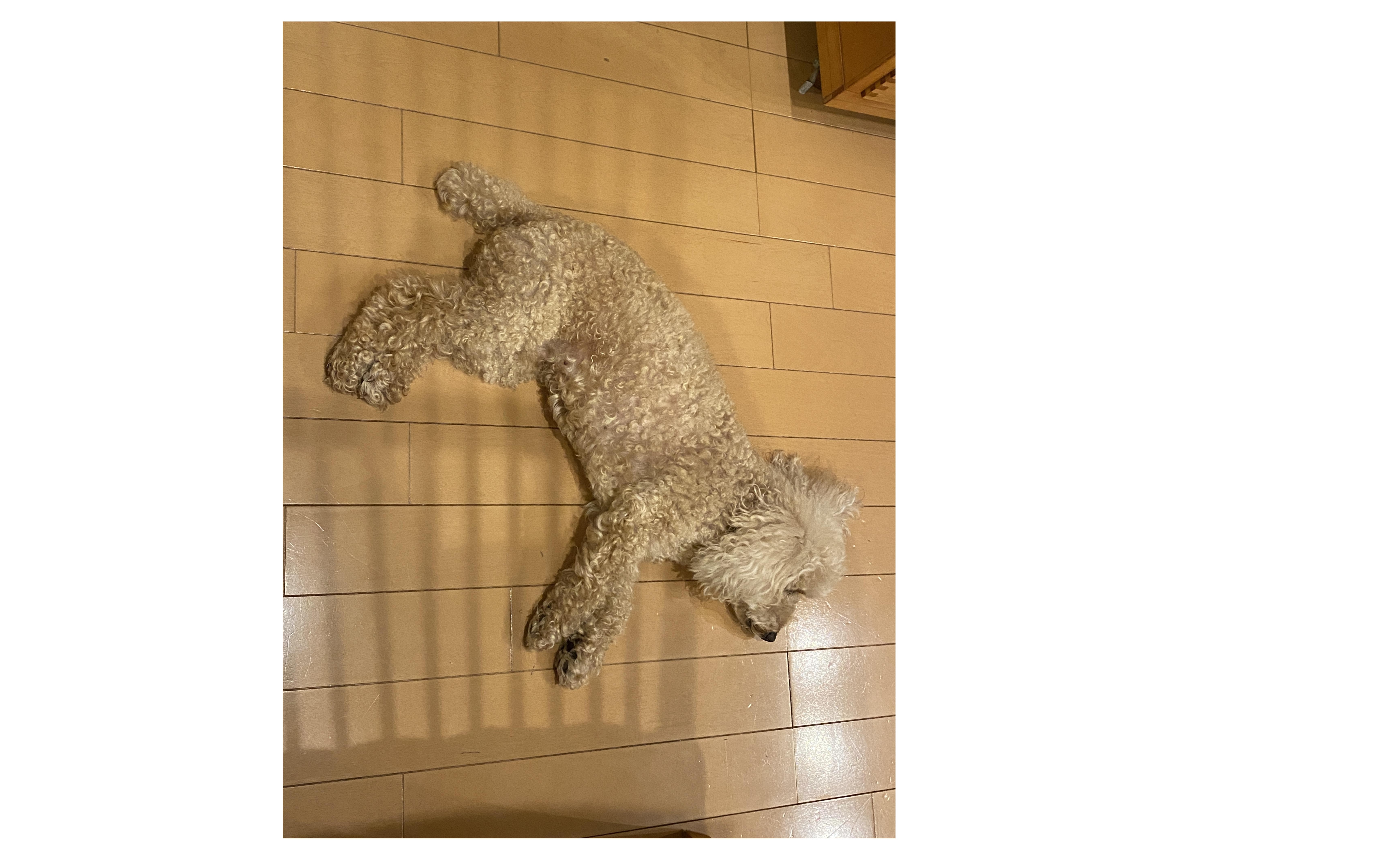 『いつでも・だれでも・みんな親切！』