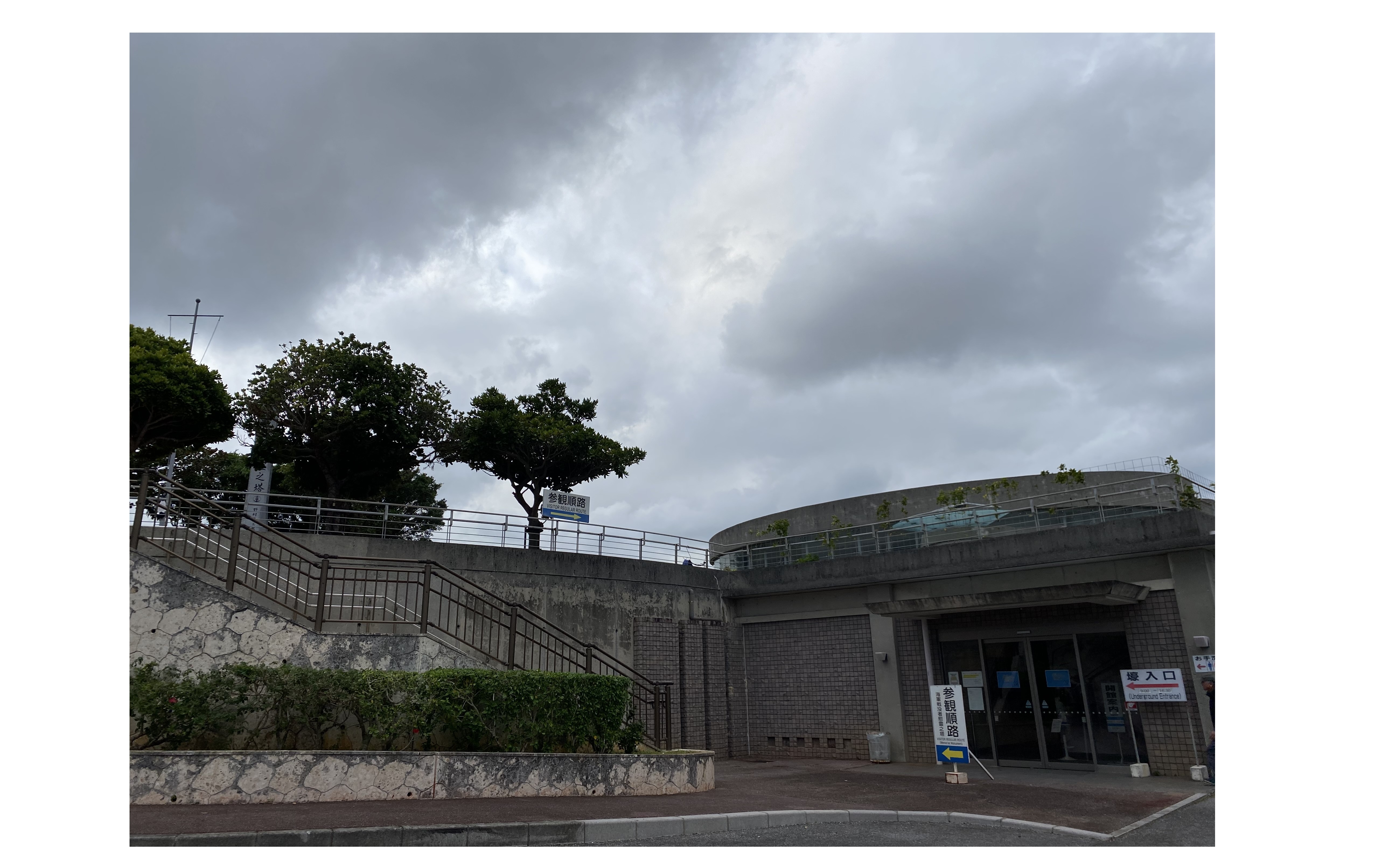 『生きる目的』