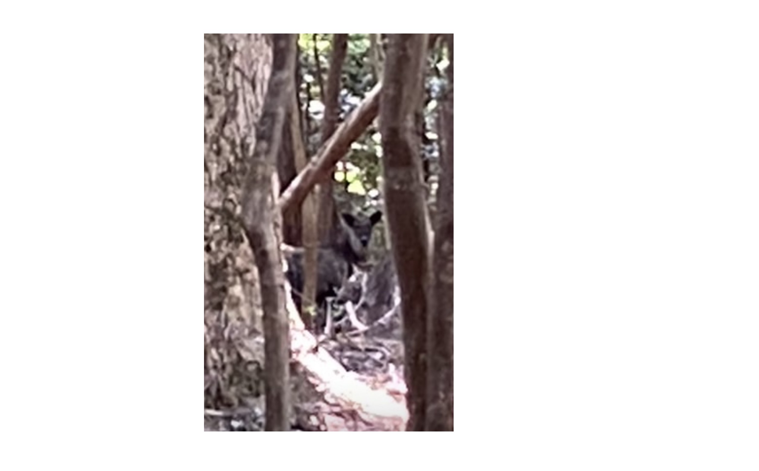 『不動産活動』