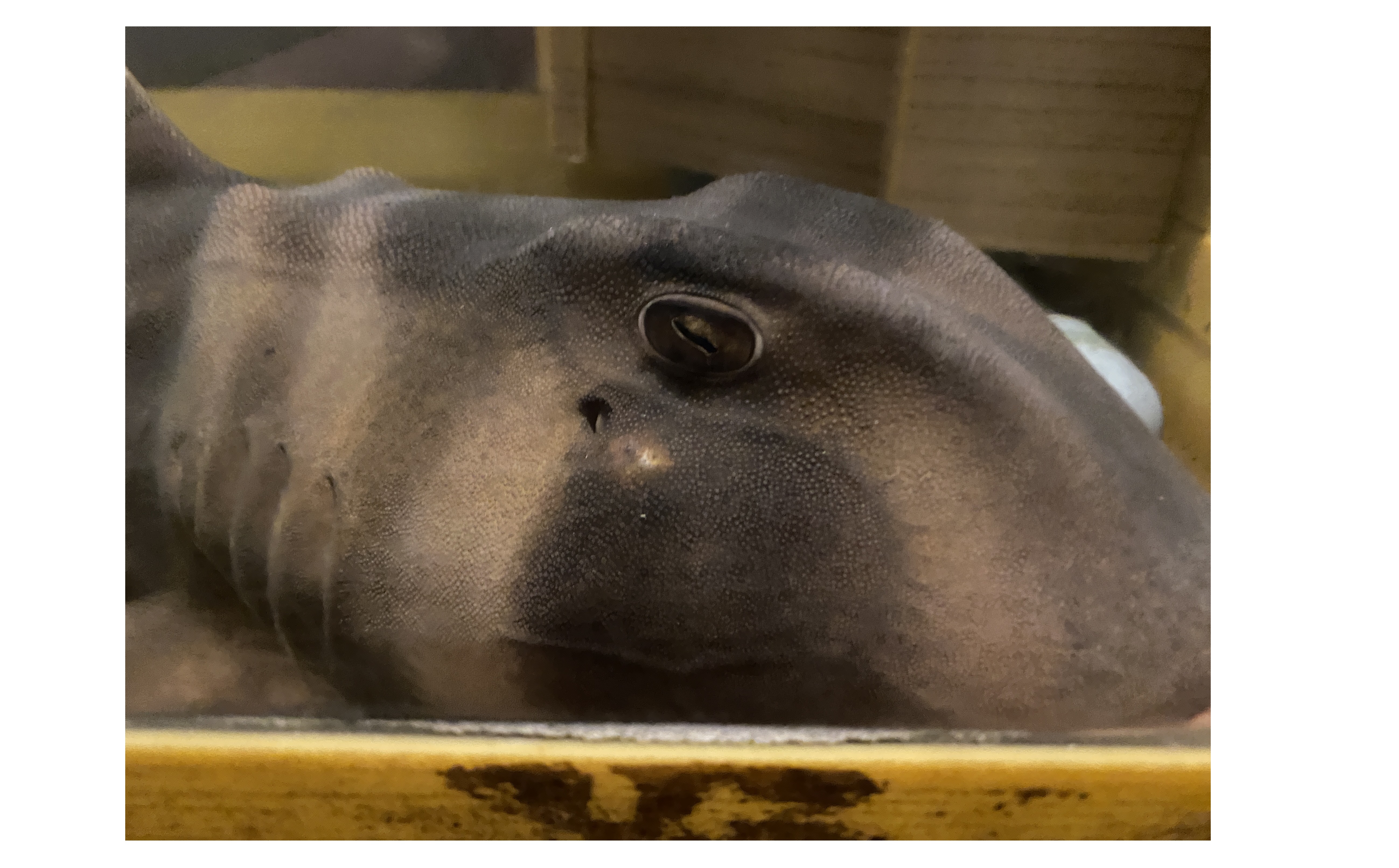 『守備範囲が広いですね』