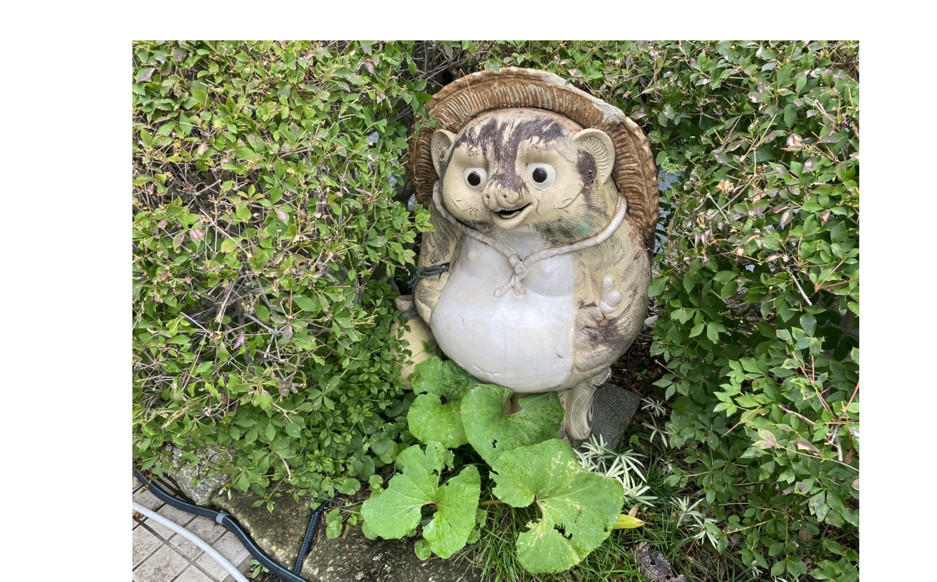 『誠実に毅然と』