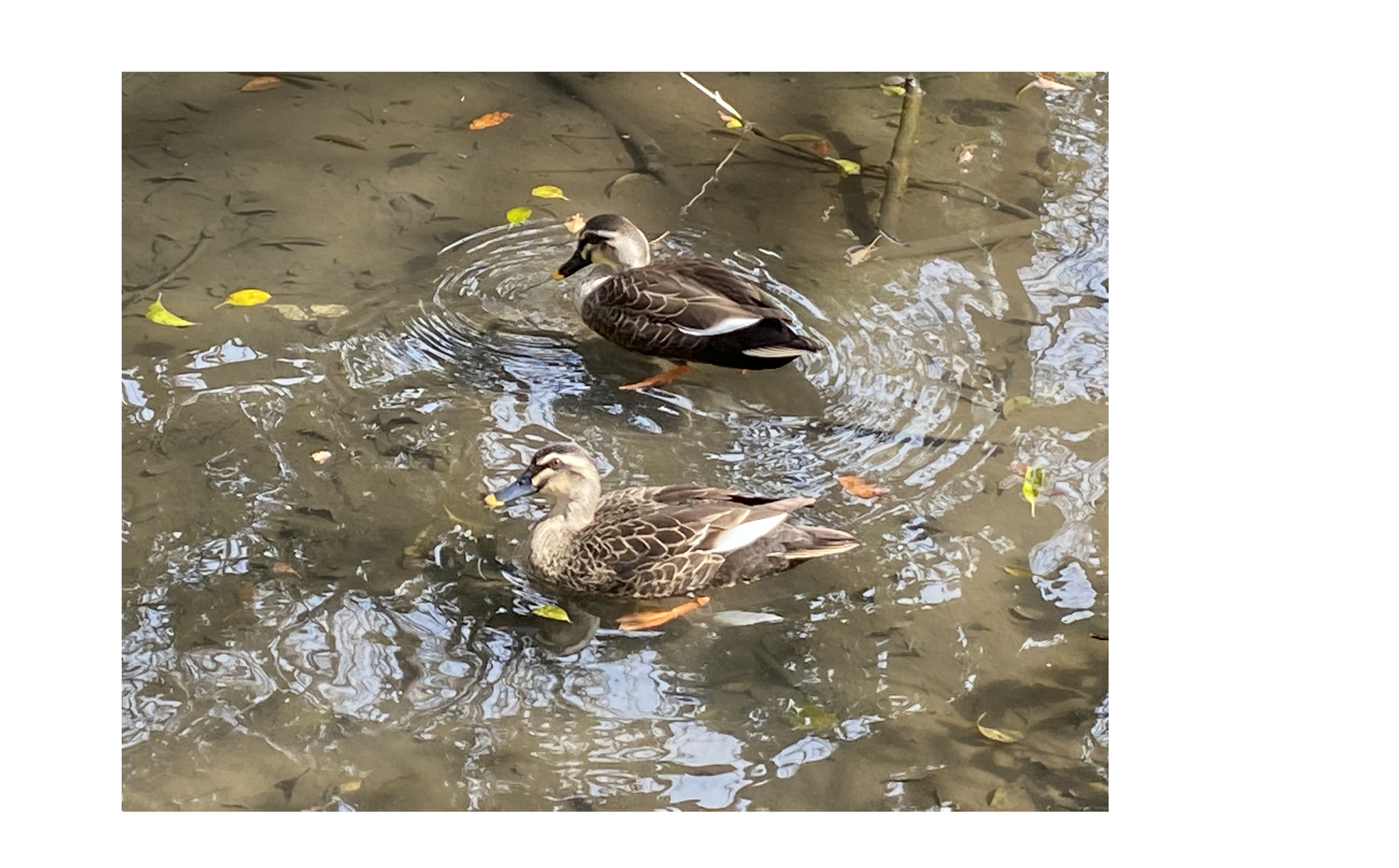 『面談が続いています。』