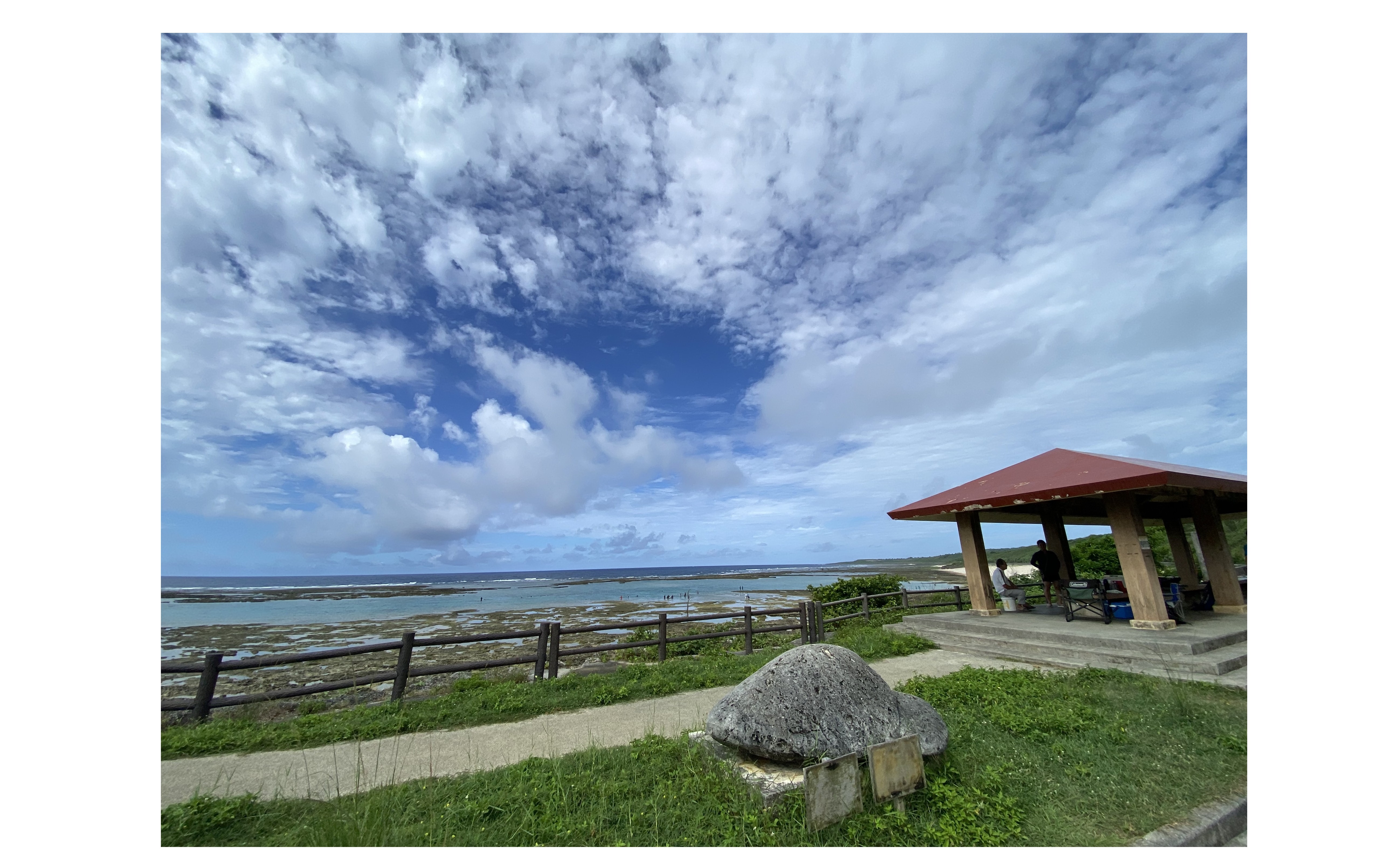 『新しい仲間』