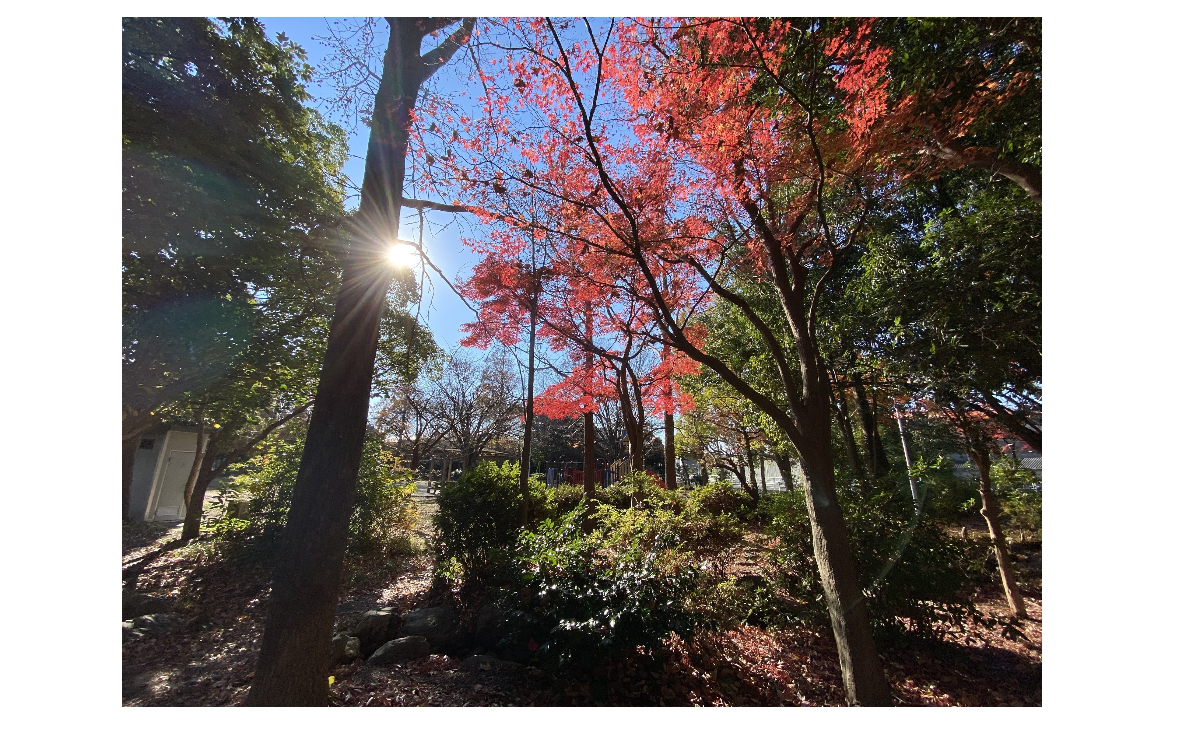 『足るを知る』