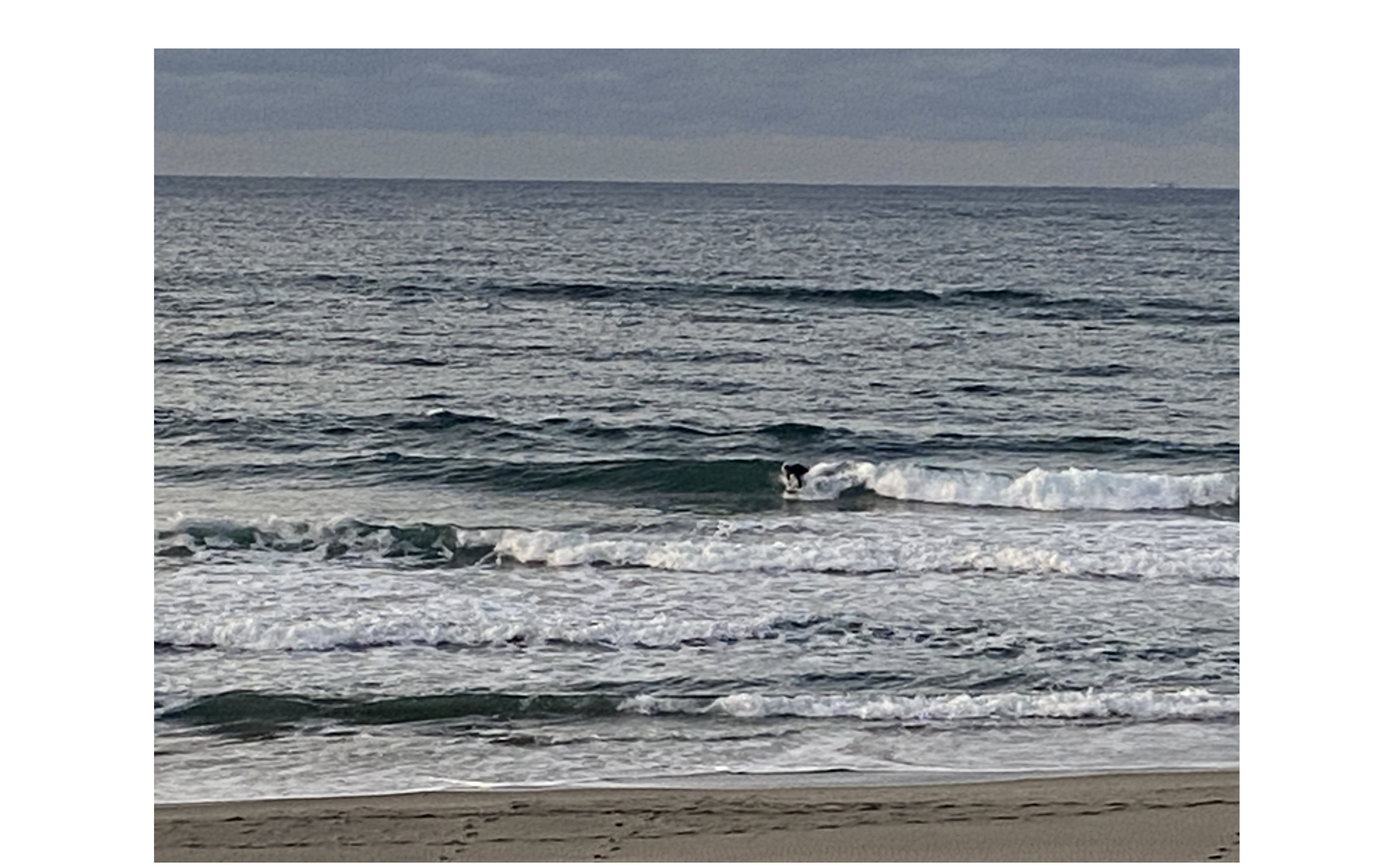 『柔軟な姿勢とブレない姿勢』