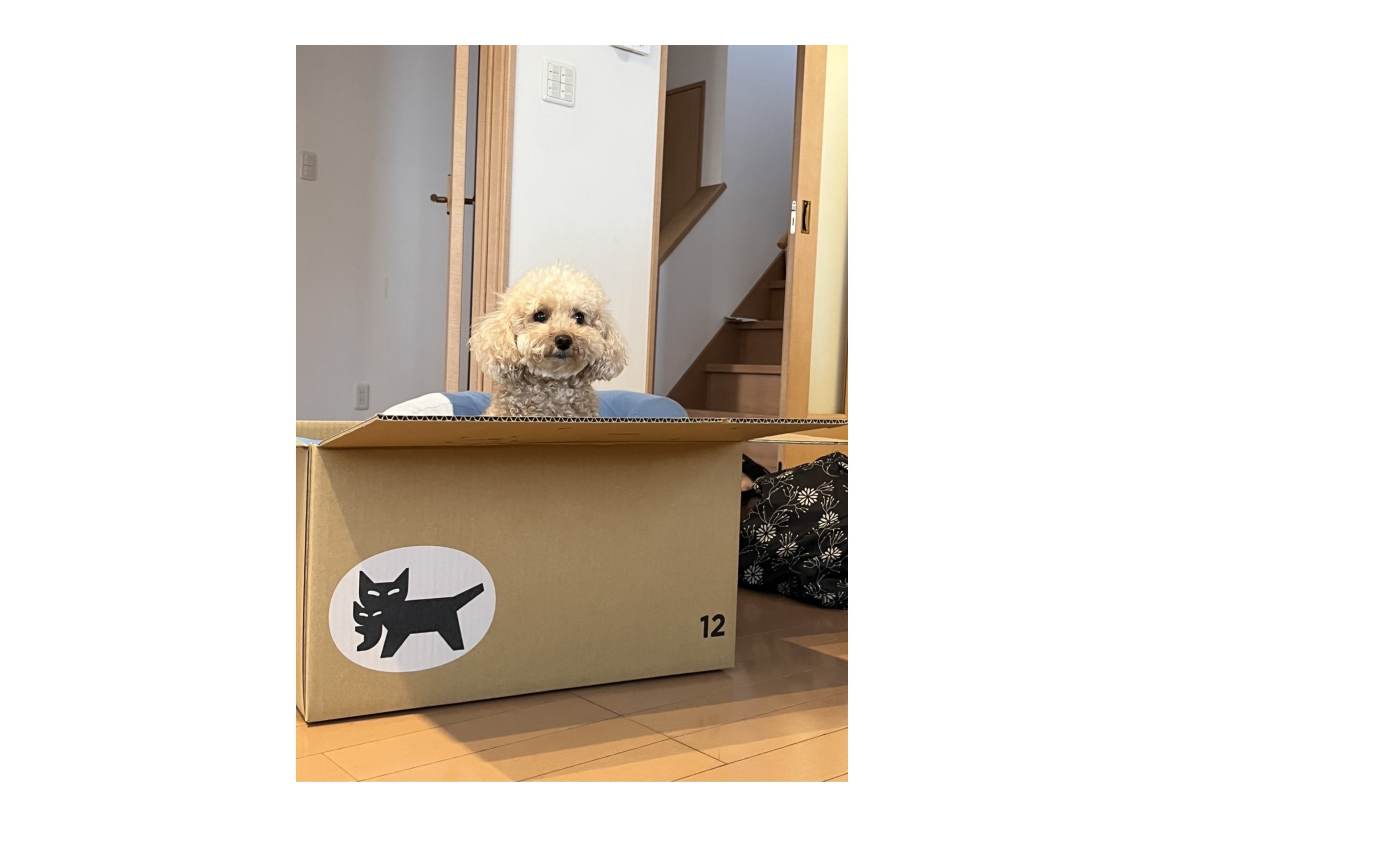 『パッション』