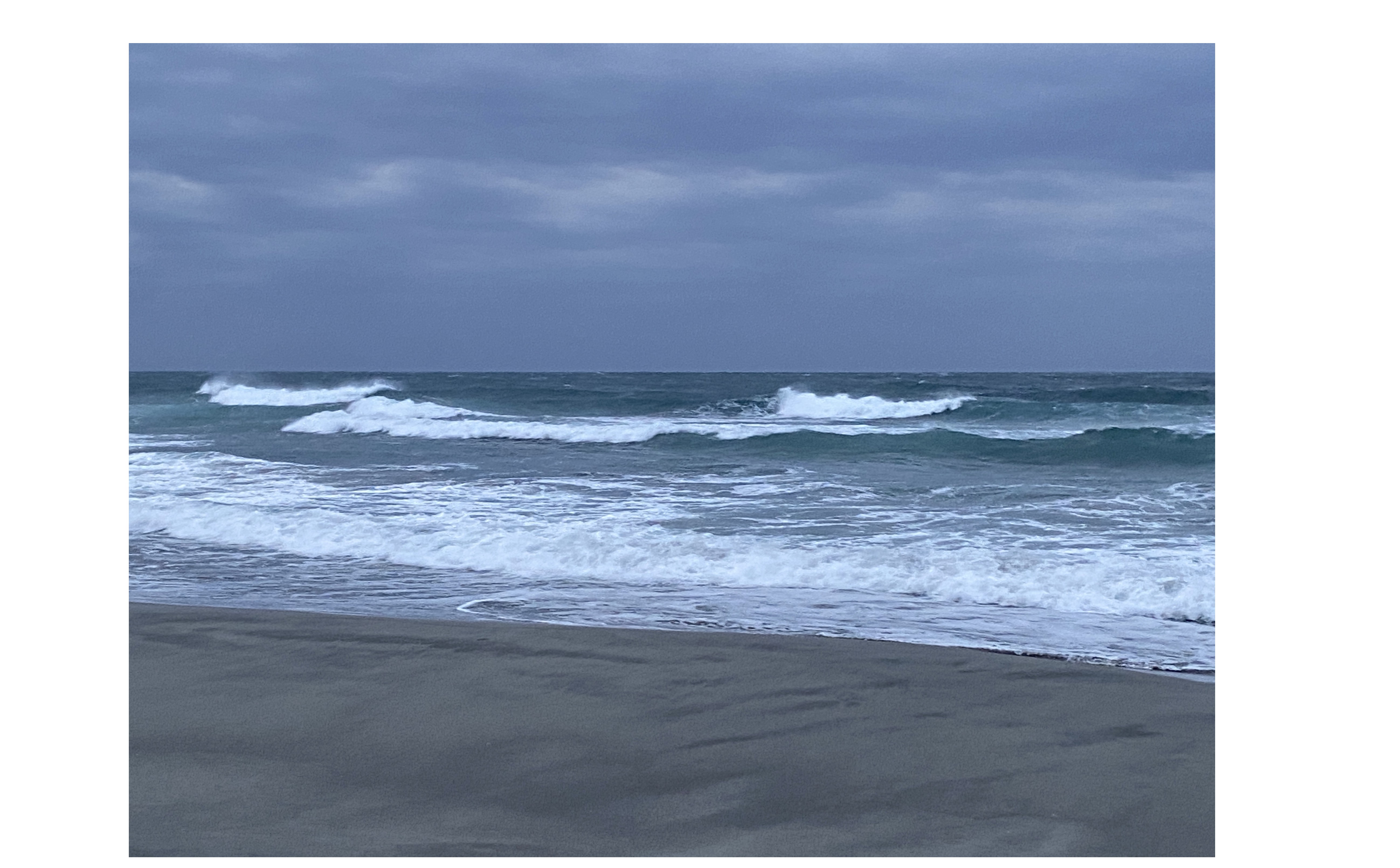 『お客様とのふれあい』