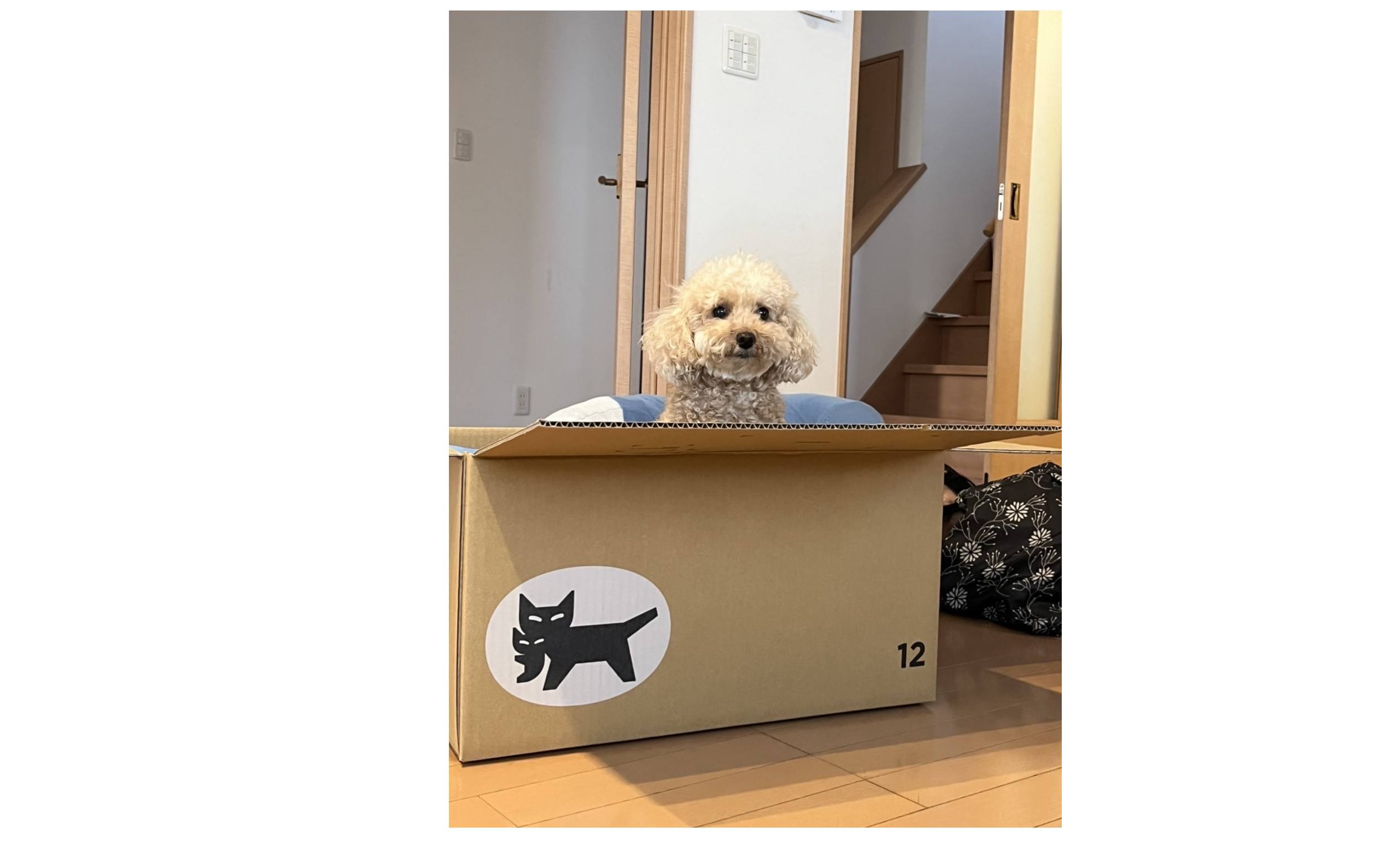 『８回目の冬を迎えます』