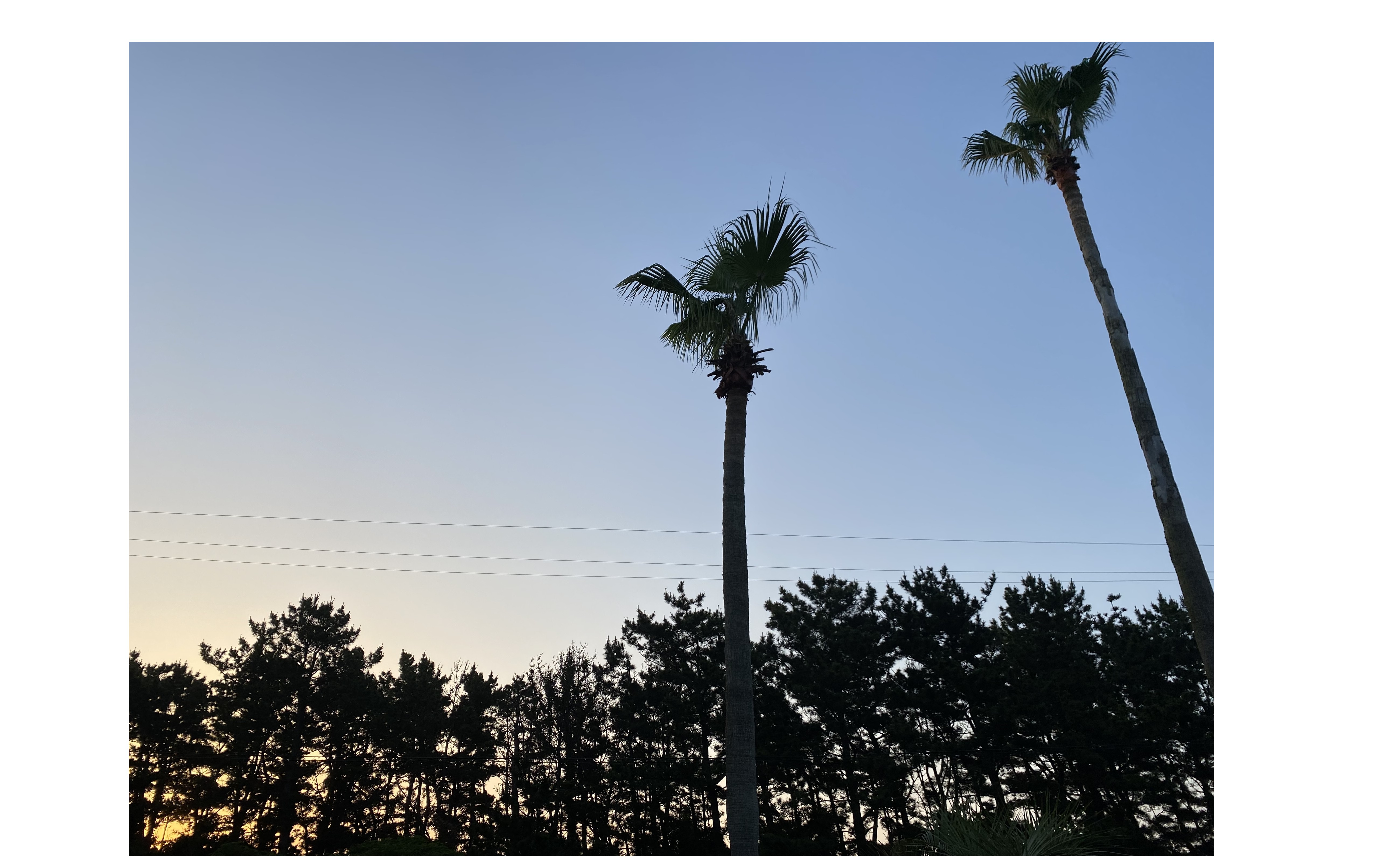 『社員とのコミュニケーション』