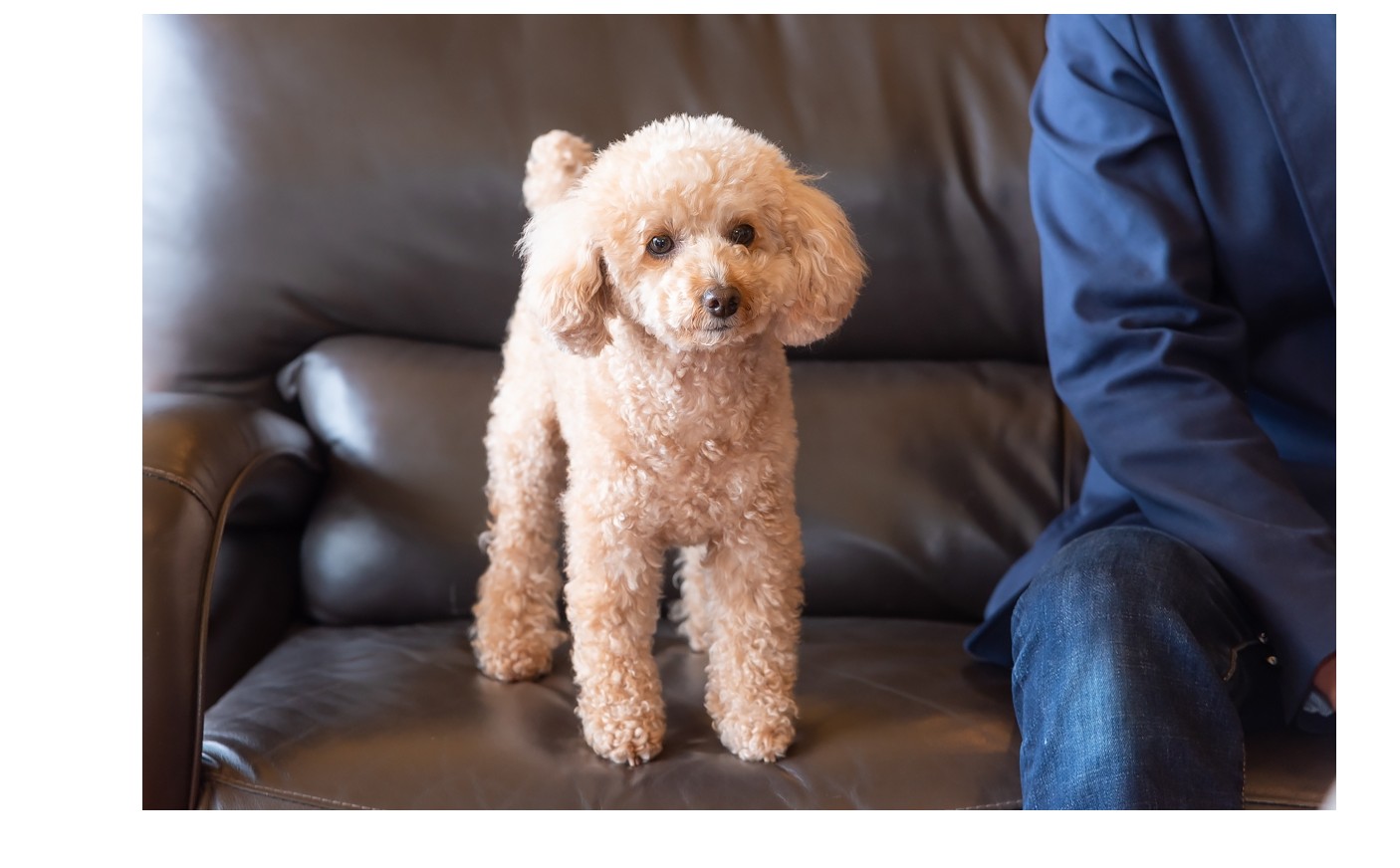 『新人から学ぶ事』