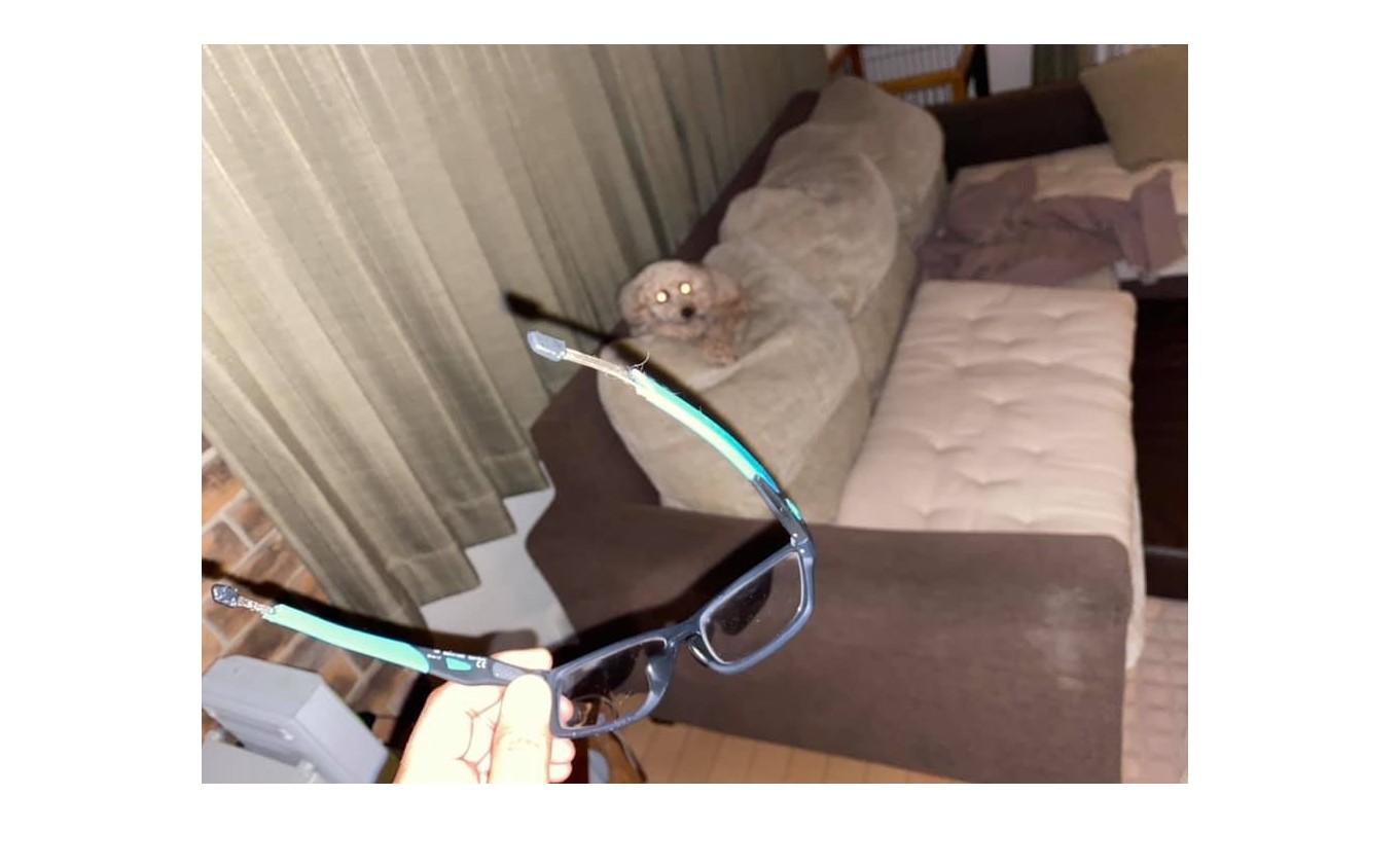 『やられた・・・』