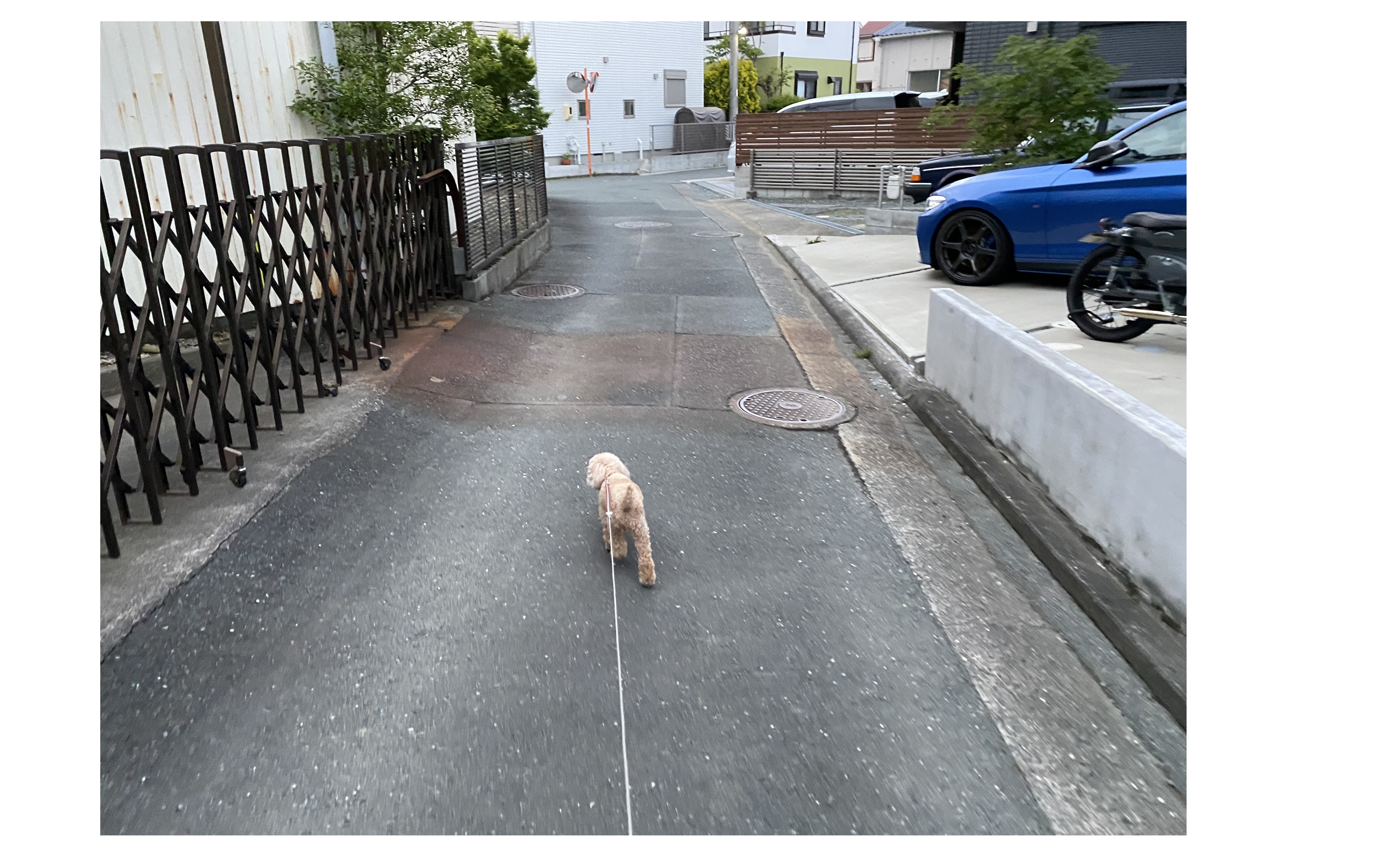 『がんばれ！』